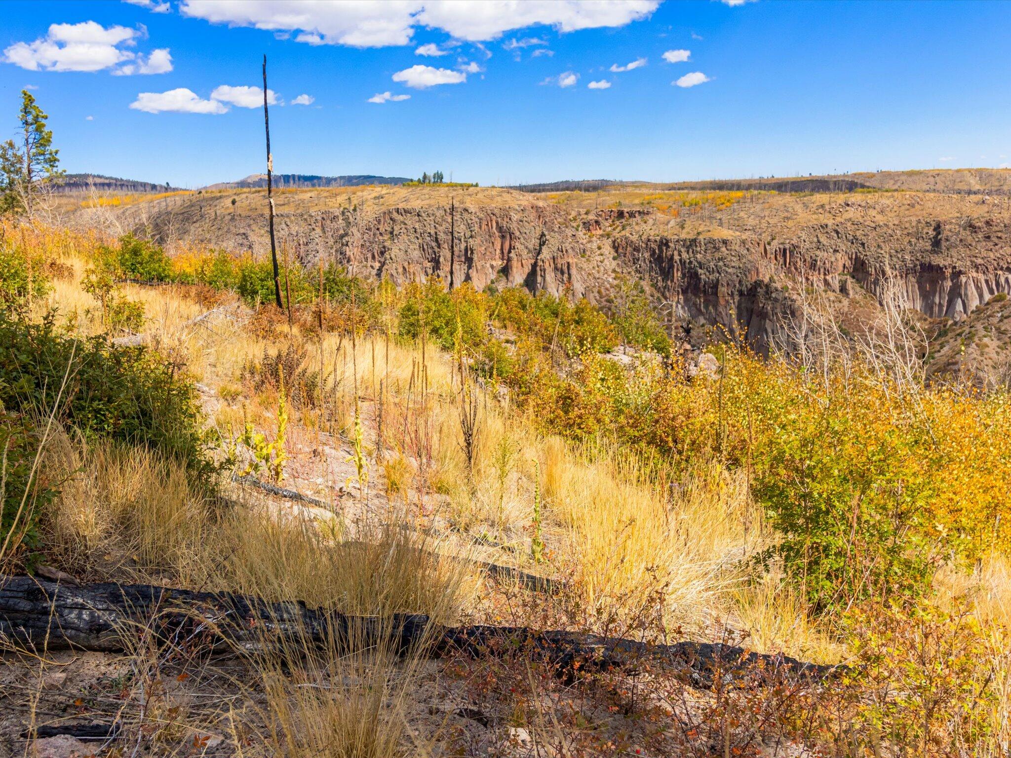 995 Forest Rd 268 Road, Jemez Springs, New Mexico image 33