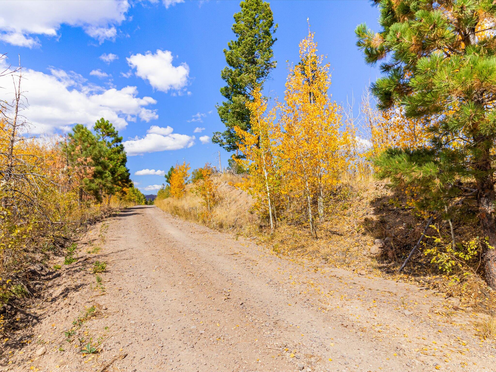 995 Forest Rd 268 Road, Jemez Springs, New Mexico image 29