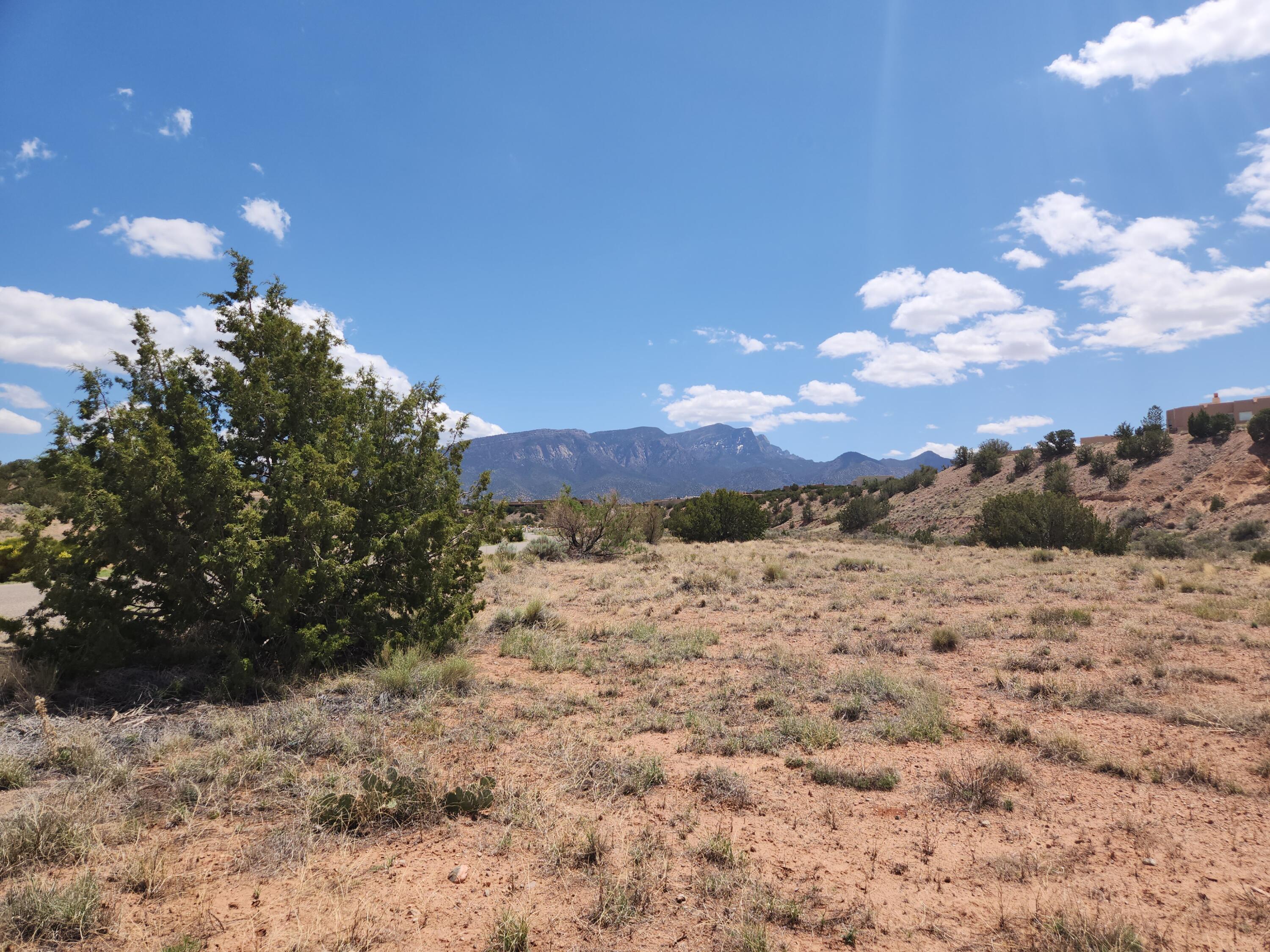 15 Petroglyph Trail, Placitas, New Mexico image 21