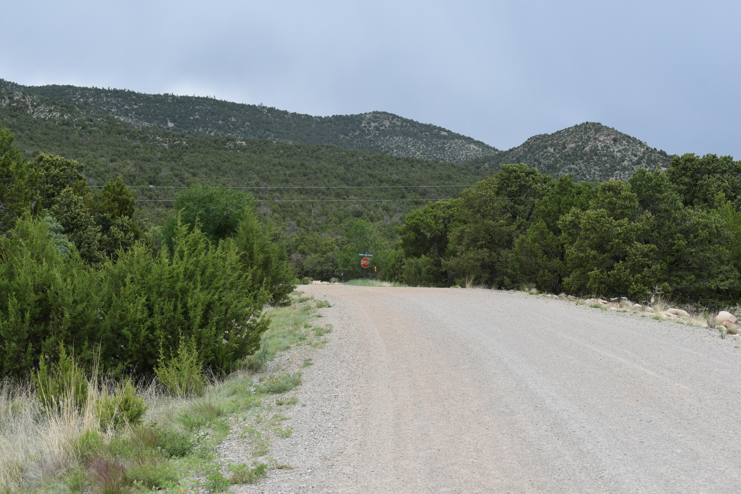 5 Vista Sierra Road, Edgewood, New Mexico image 13