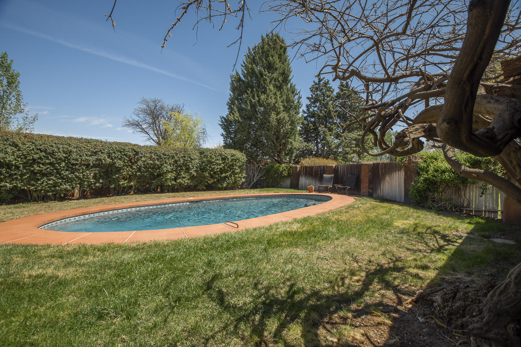 1905 Avenida Las Campanas, Los Ranchos, New Mexico image 38