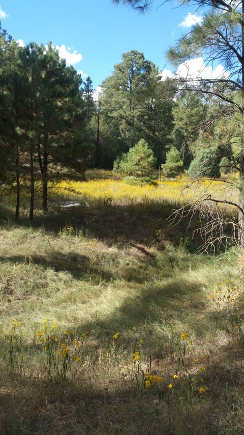 Vacant Land For Sale - 56 Carolino Canyon Road<br/> Bernalillo County, Tijeras, NM 87059