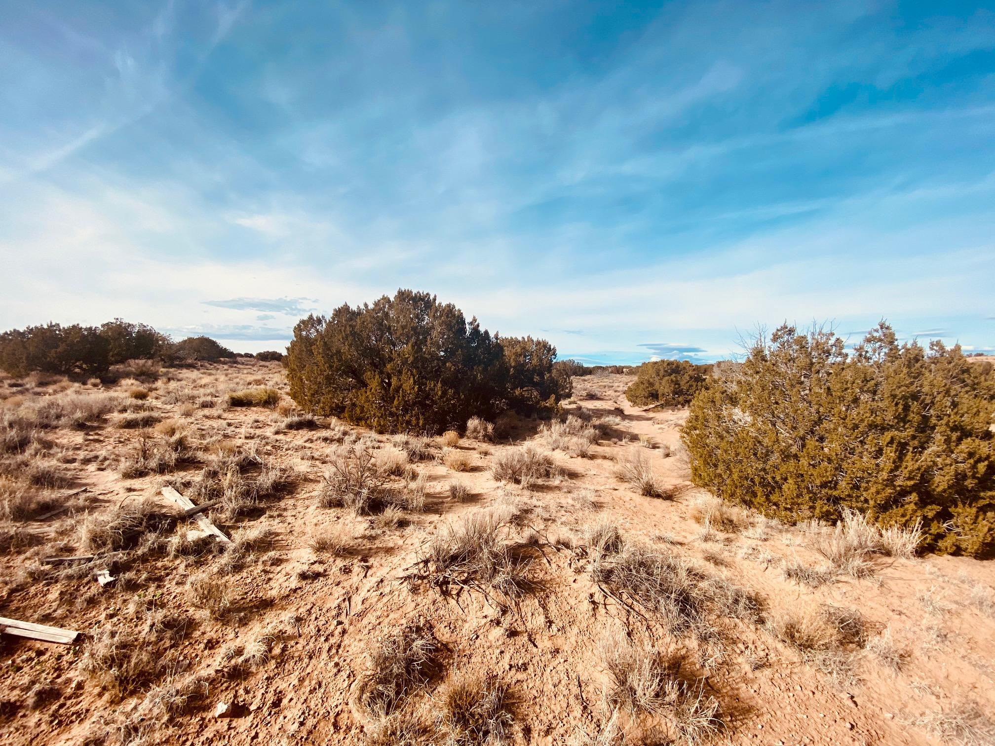 5023 Magenta Road, Rio Rancho, New Mexico image 8