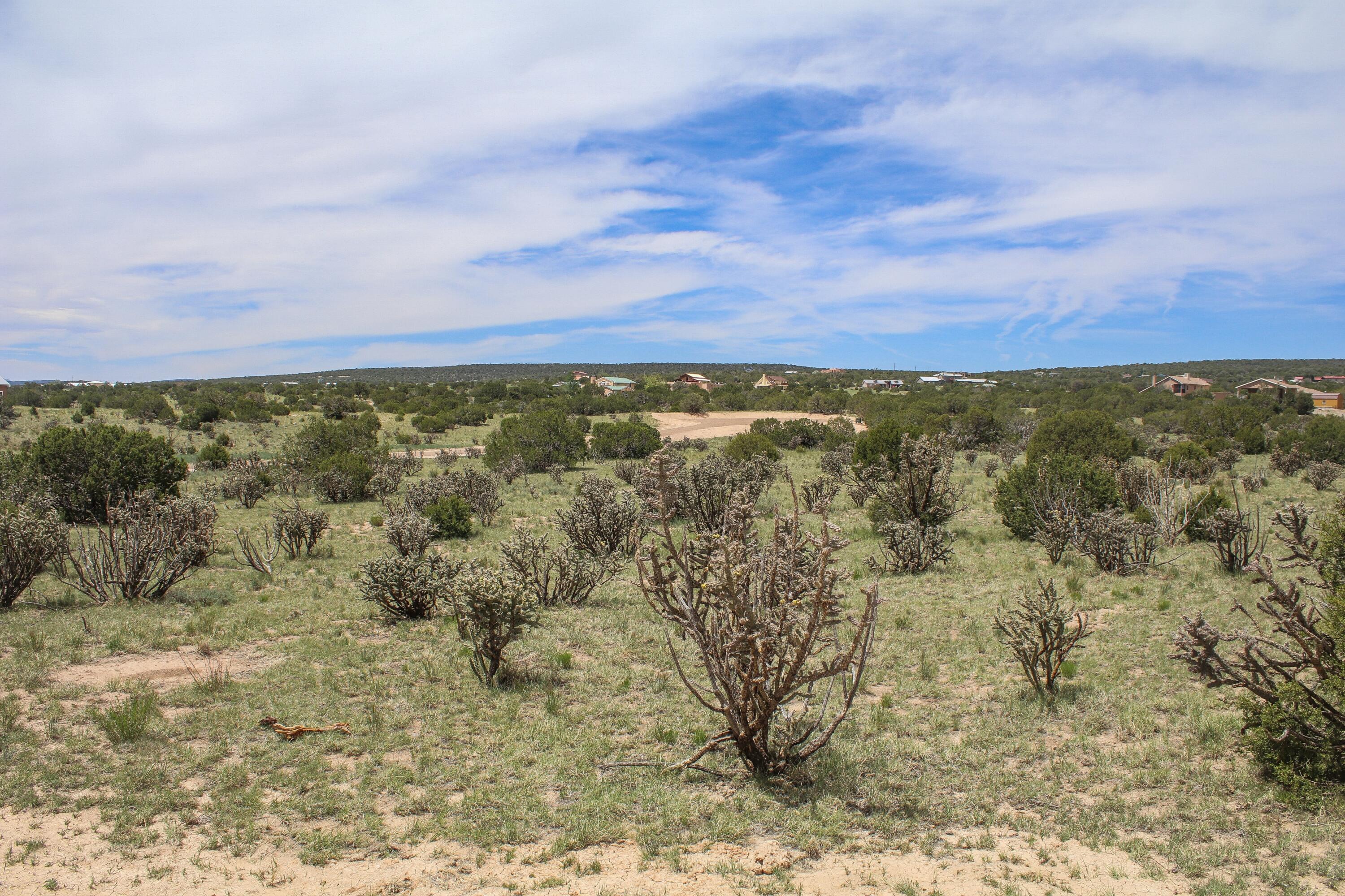 1 Taluca Court, Edgewood, New Mexico image 3