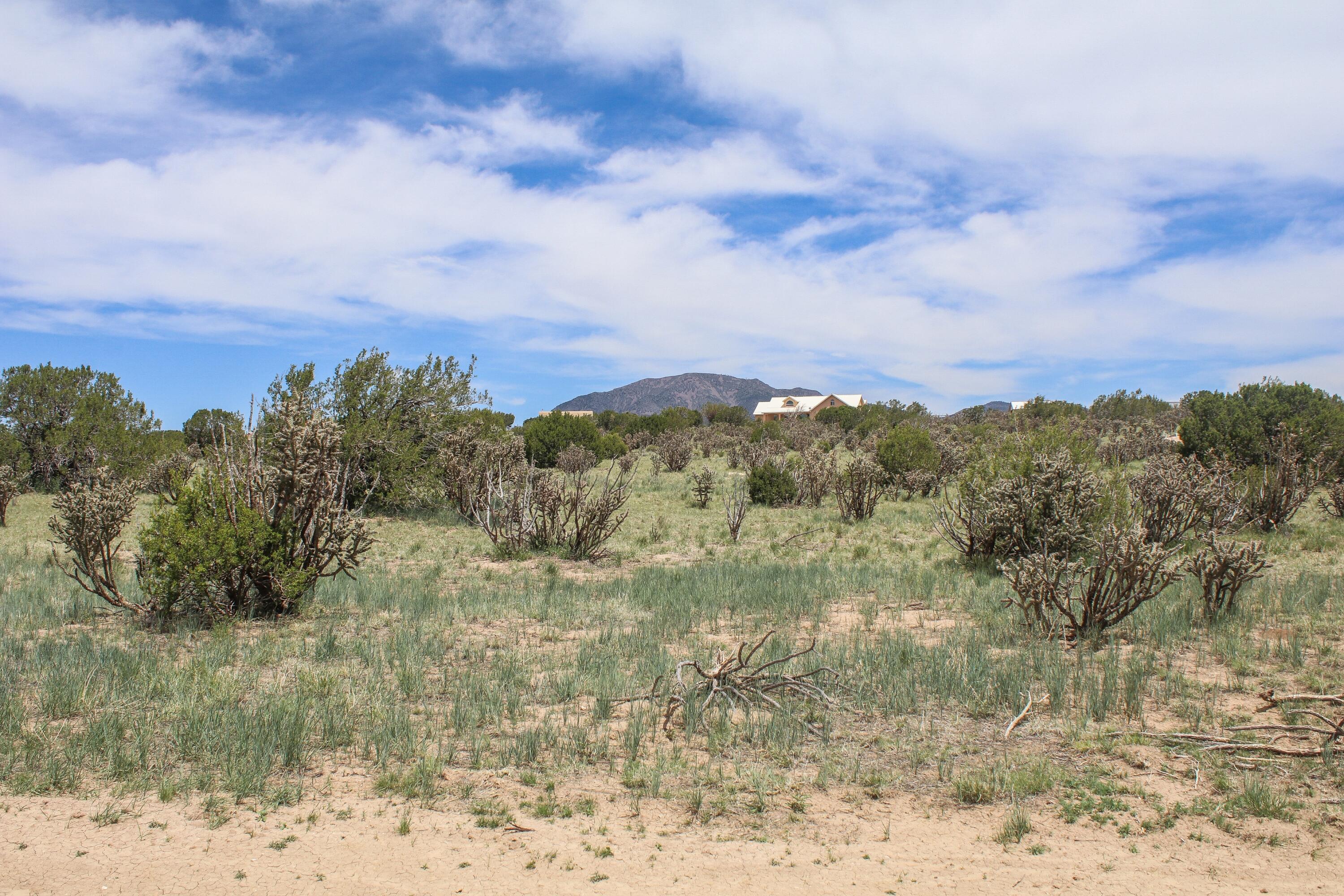 1 Taluca Court, Edgewood, New Mexico image 1