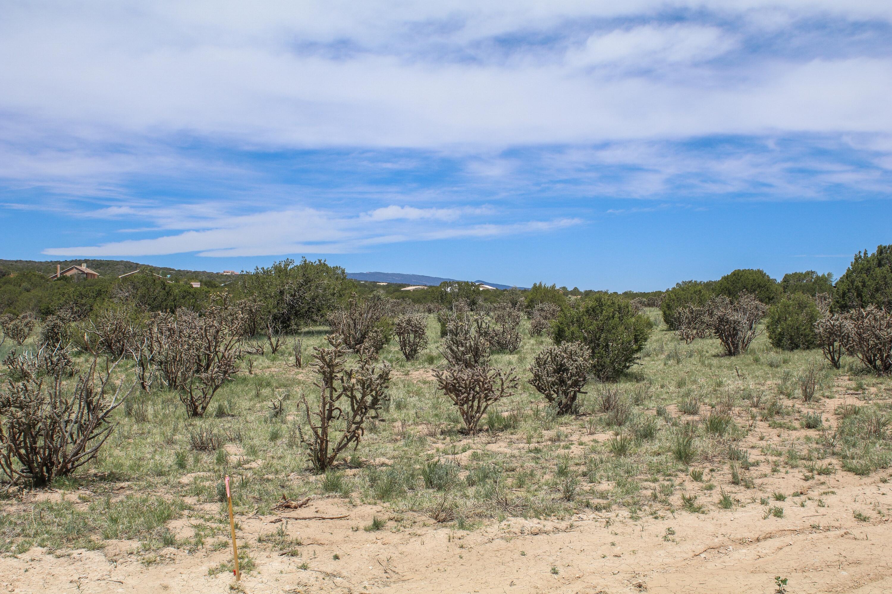 1 Taluca Court, Edgewood, New Mexico image 2