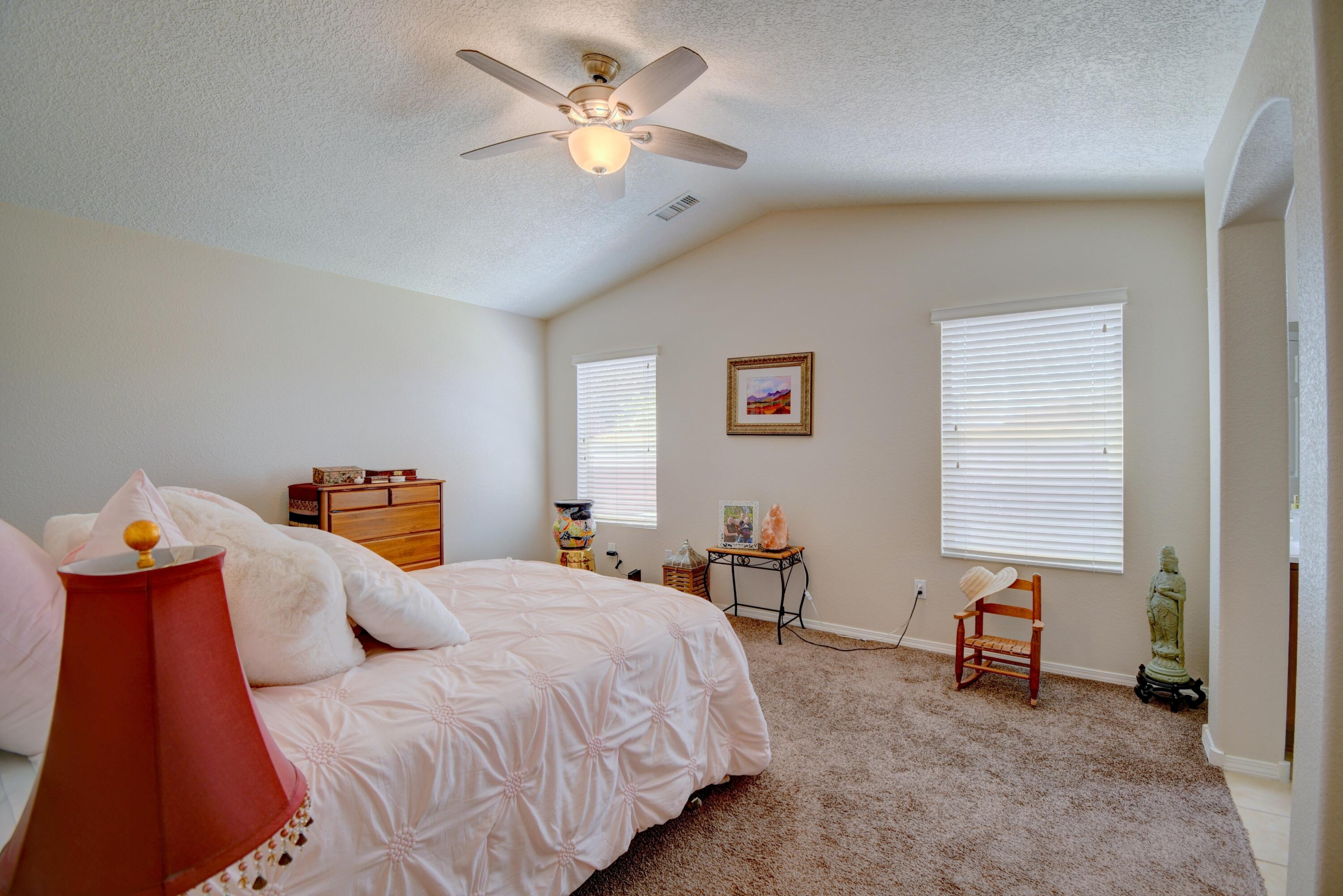 7217 Skagway Drive, Rio Rancho, New Mexico image 12