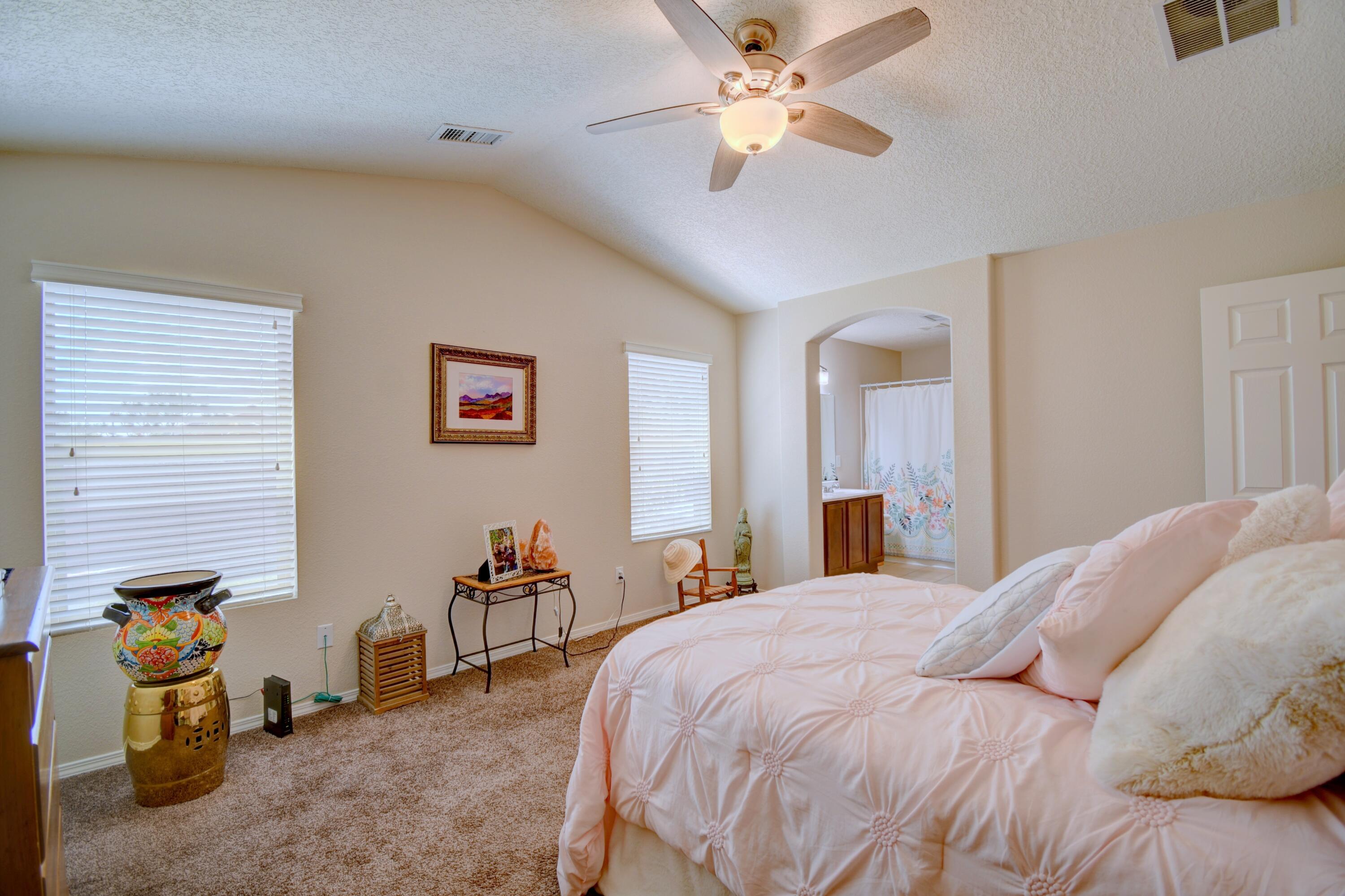 7217 Skagway Drive, Rio Rancho, New Mexico image 13