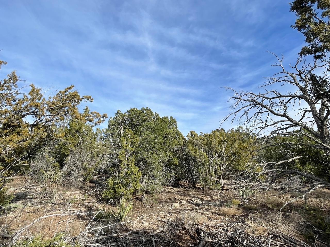 194 B County Line Road, Edgewood, New Mexico image 8