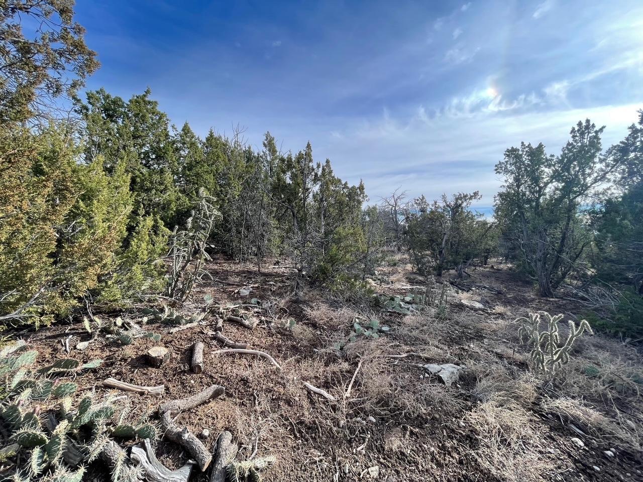 194 B County Line Road, Edgewood, New Mexico image 9