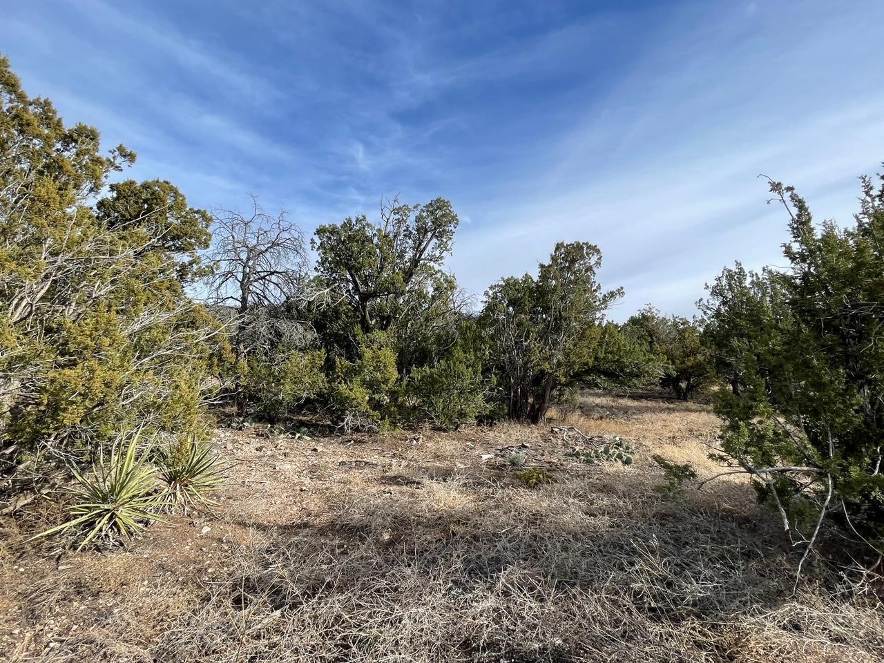 194 B County Line Road, Edgewood, New Mexico image 7