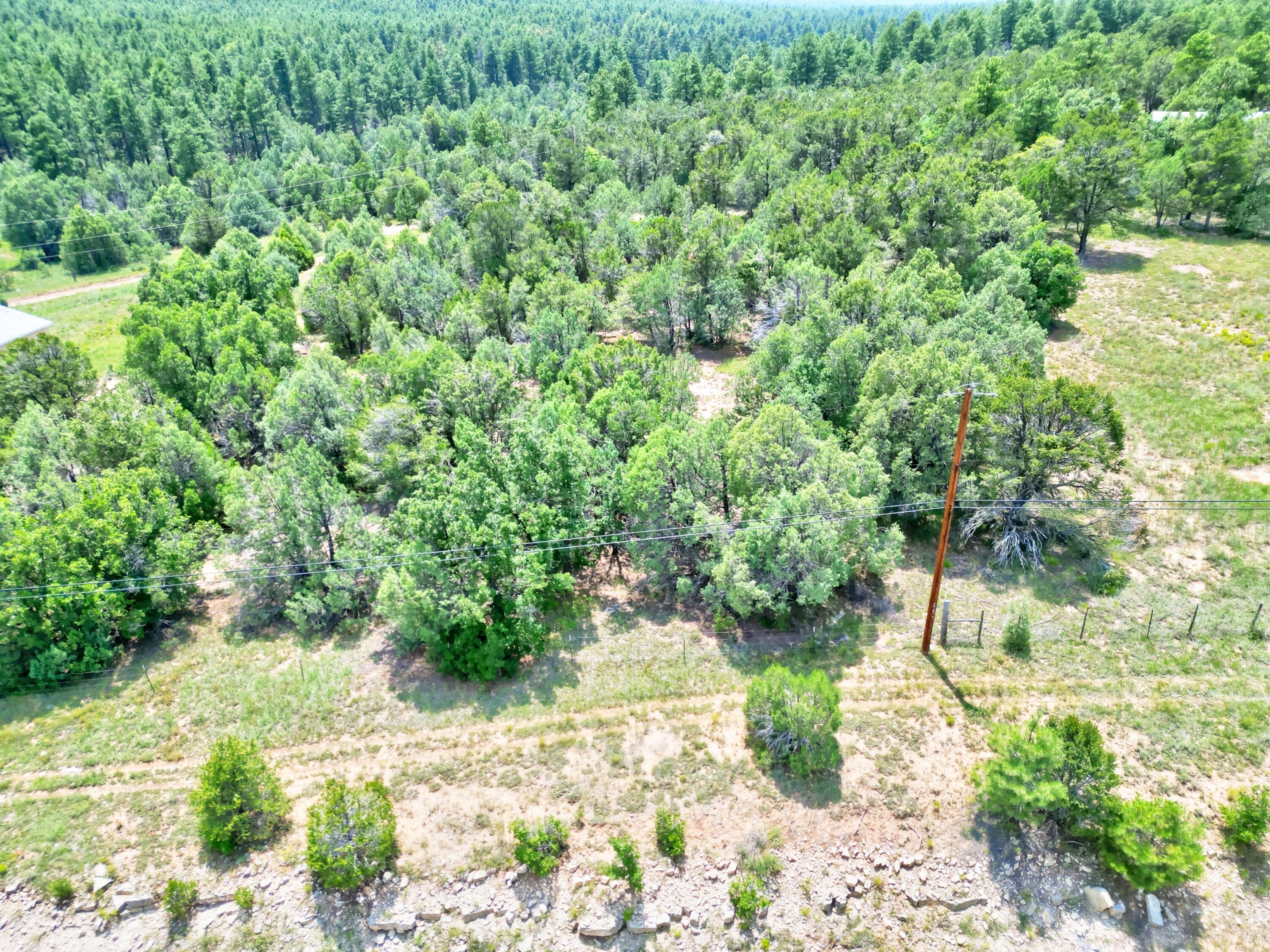 10281 Nm-337, Tijeras, New Mexico image 8