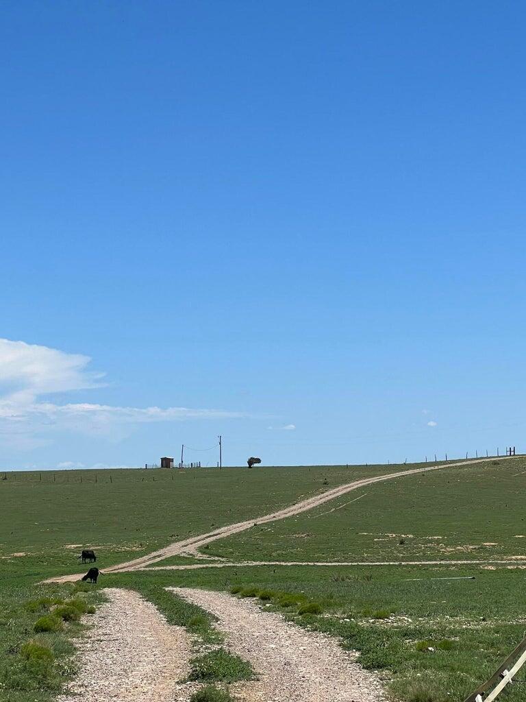 321 Riley Road, Estancia, New Mexico image 47