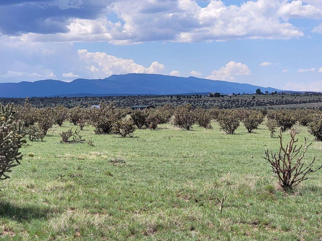 323 Thompson Road, Edgewood, New Mexico image 1