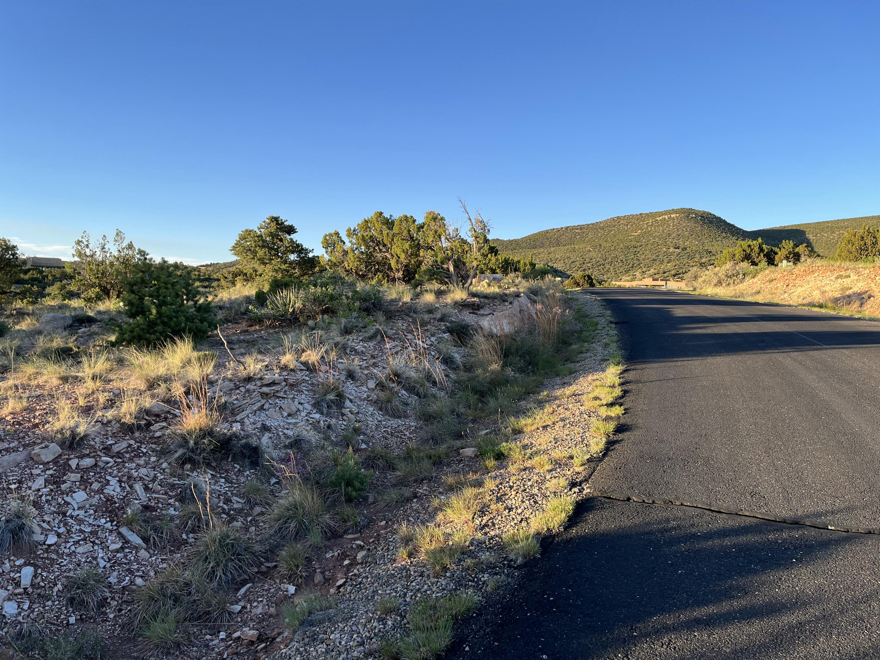 101 Wild Primrose Road, Placitas, New Mexico image 15