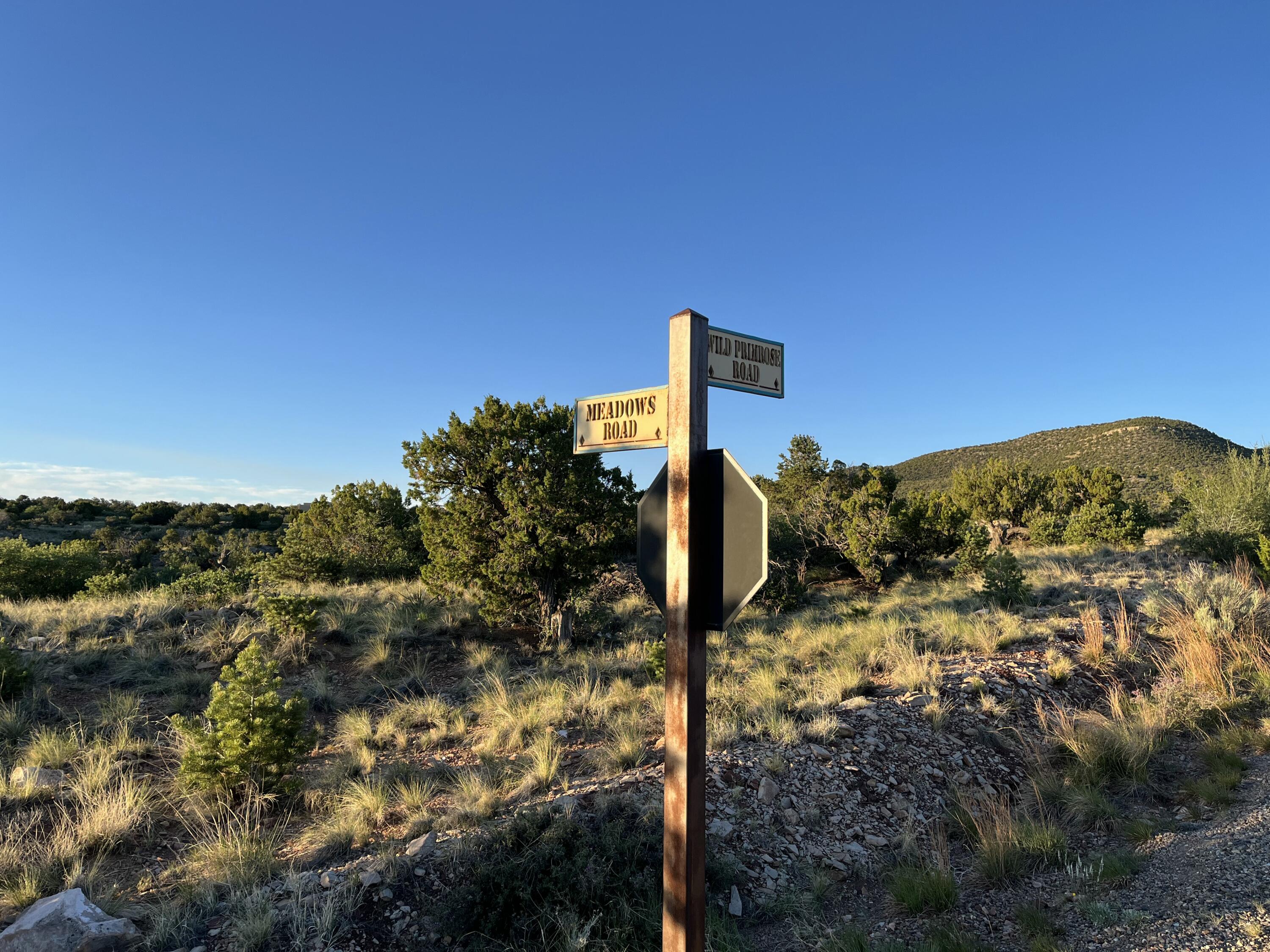 101 Wild Primrose Road, Placitas, New Mexico image 9