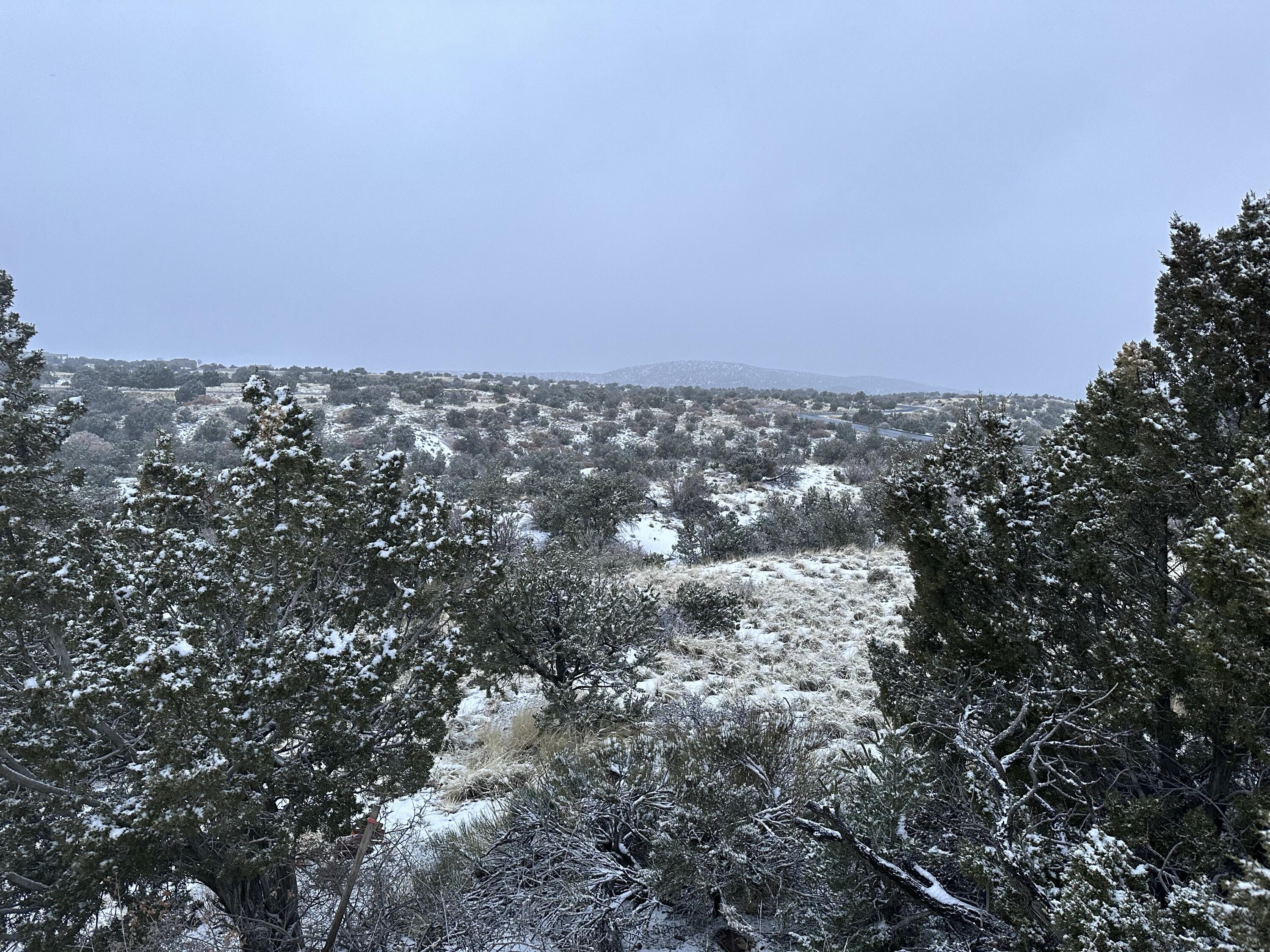 101 Wild Primrose Road, Placitas, New Mexico image 6