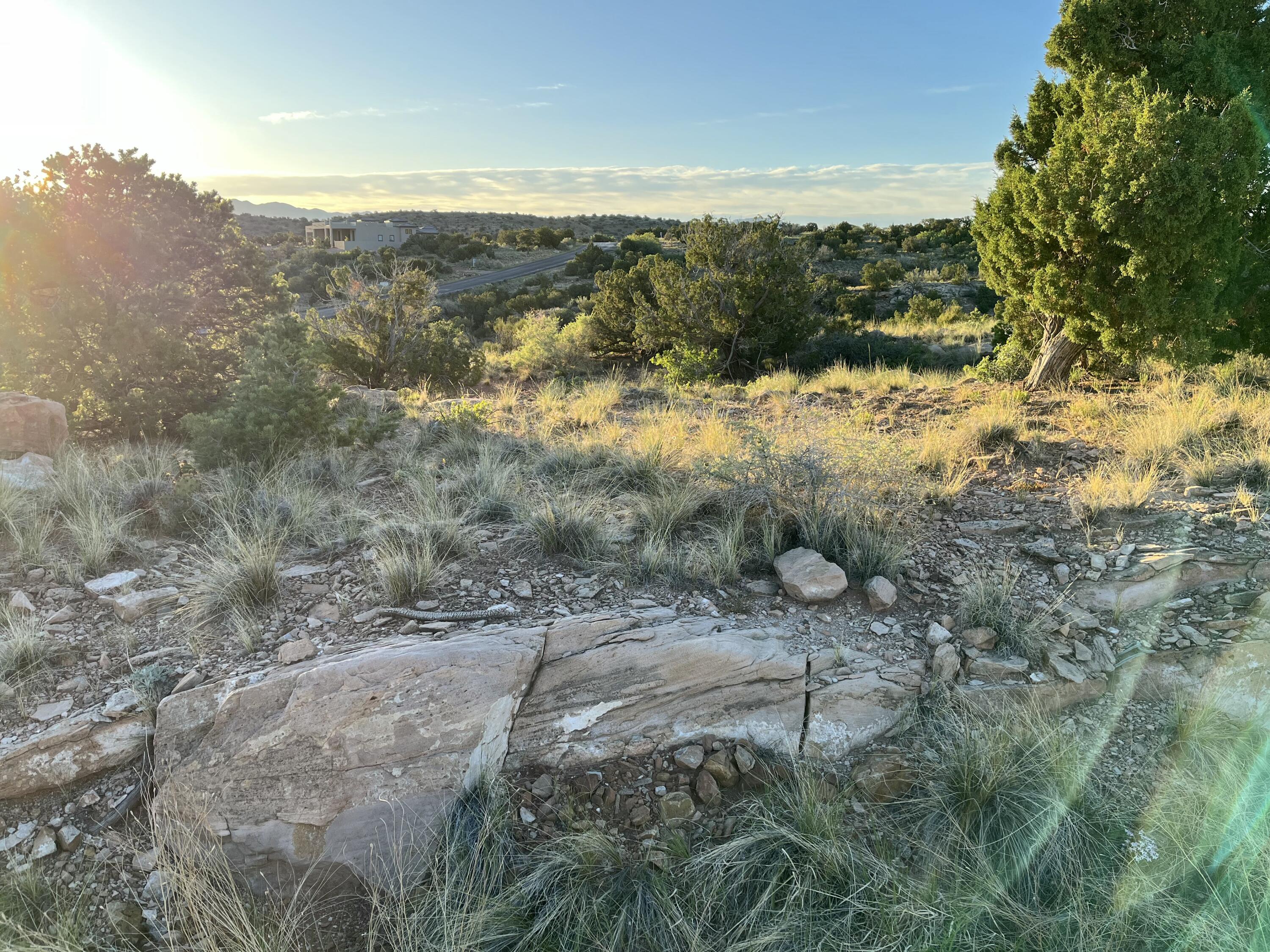 101 Wild Primrose Road, Placitas, New Mexico image 12