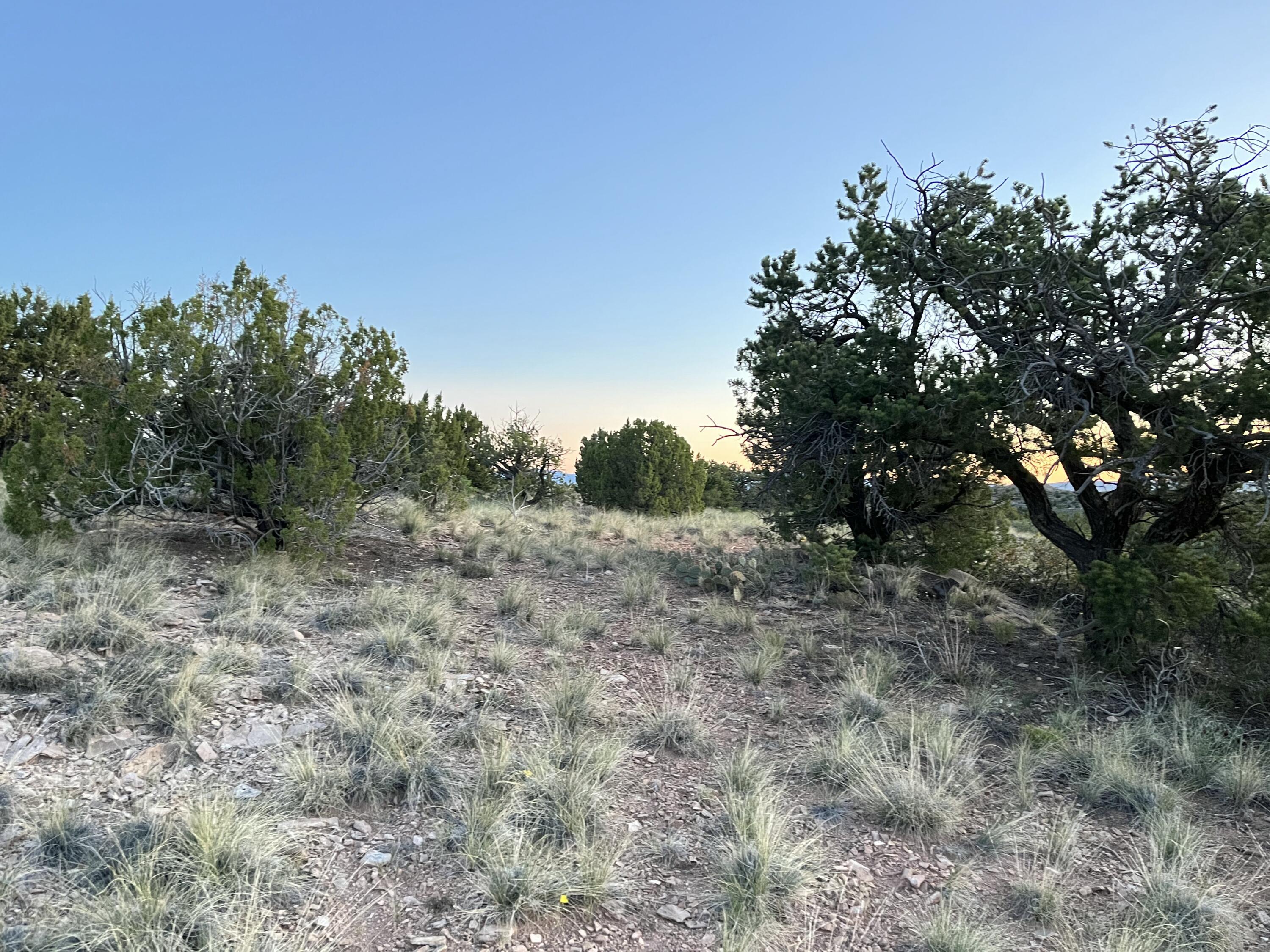 101 Wild Primrose Road, Placitas, New Mexico image 13