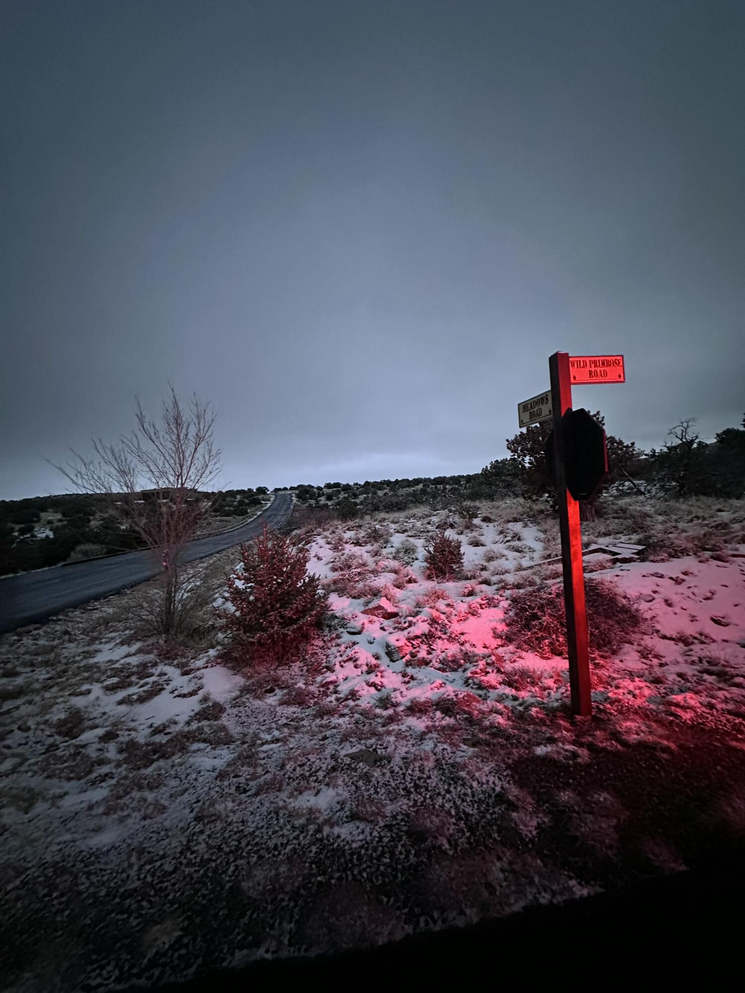101 Wild Primrose Road, Placitas, New Mexico image 14