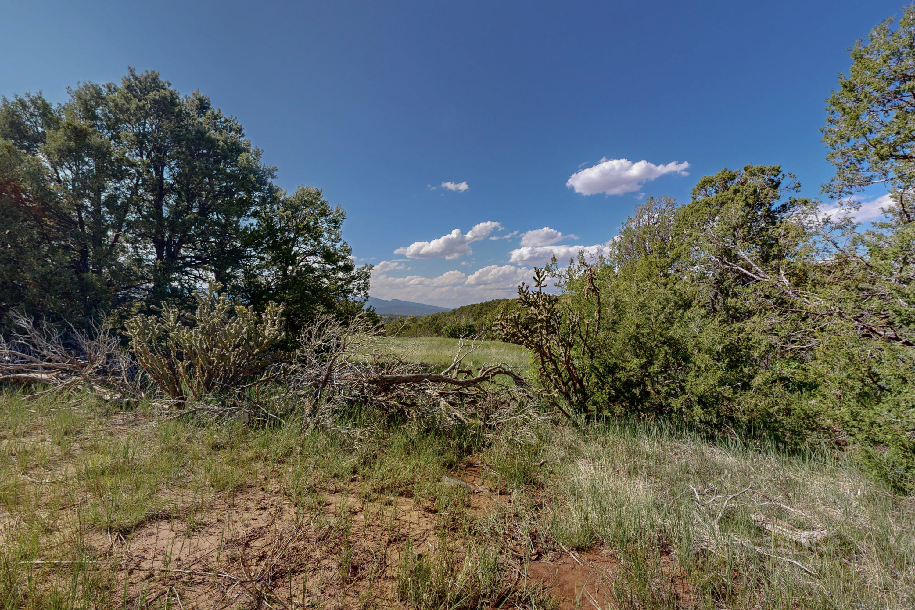 33 Los Pecos Lp Loop, Tijeras, New Mexico image 18
