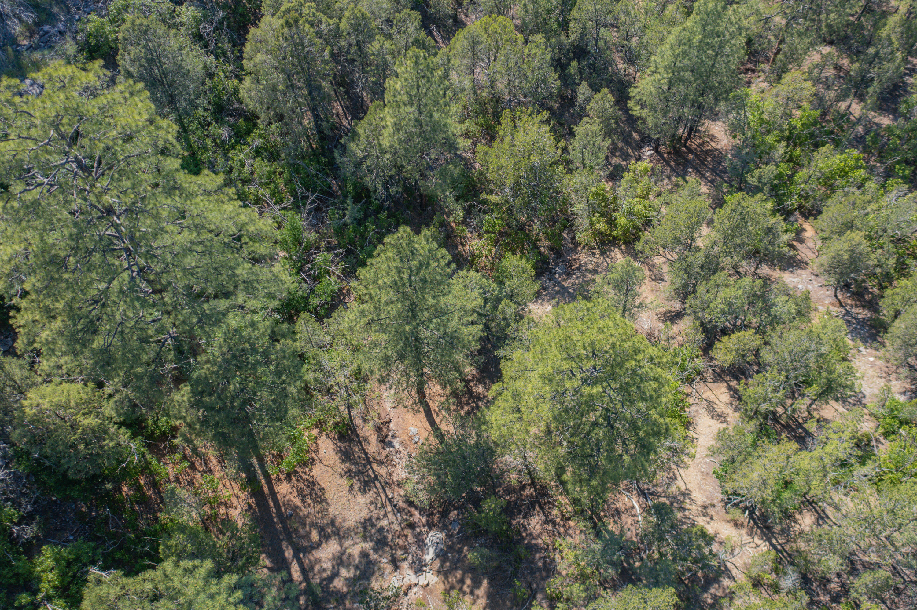 33 Los Pecos Lp Loop, Tijeras, New Mexico image 24