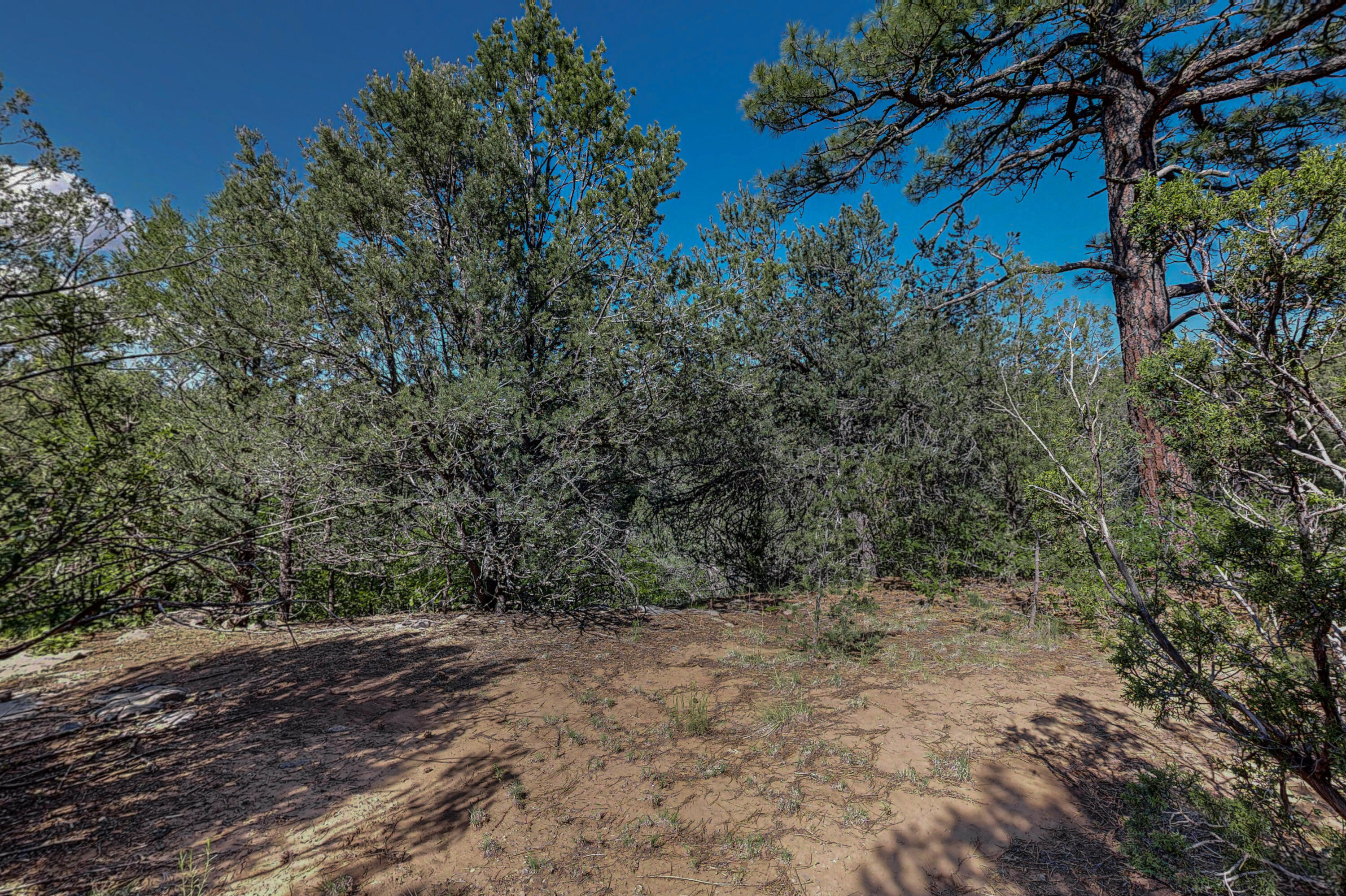 33 Los Pecos Lp Loop, Tijeras, New Mexico image 22