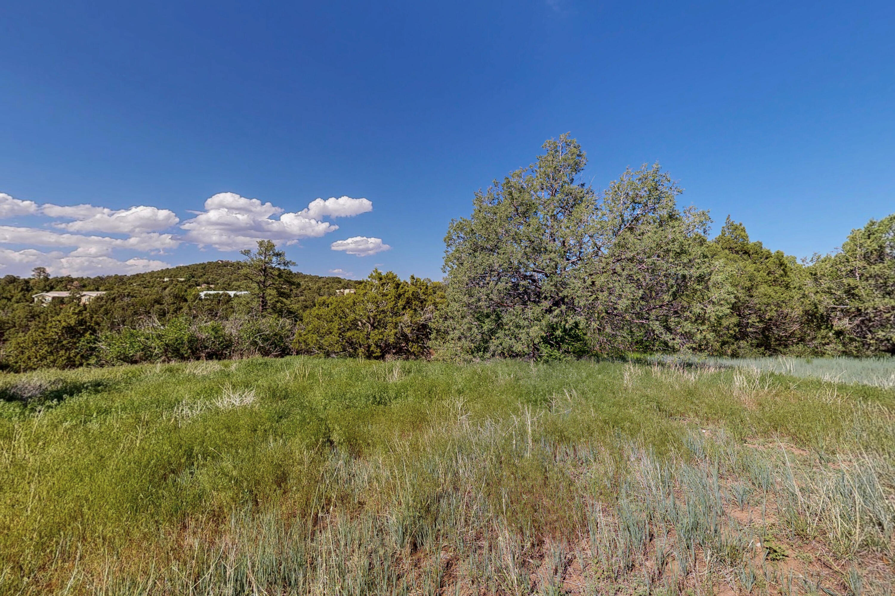 33 Los Pecos Lp Loop, Tijeras, New Mexico image 16