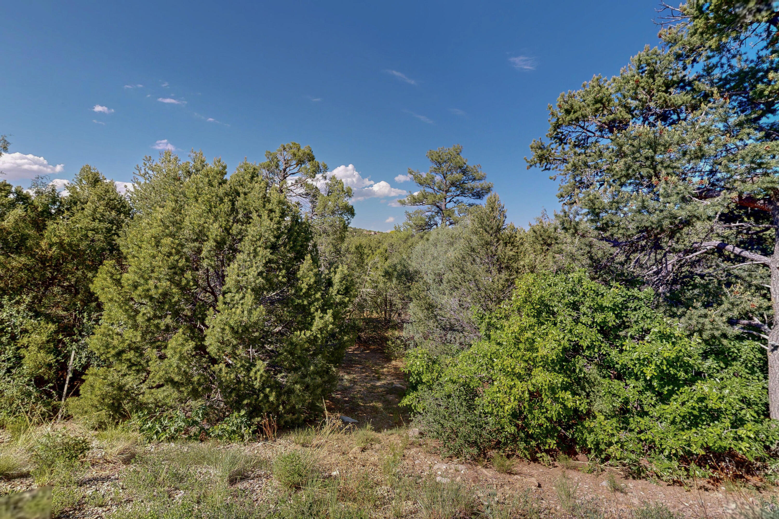 33 Los Pecos Lp Loop, Tijeras, New Mexico image 19
