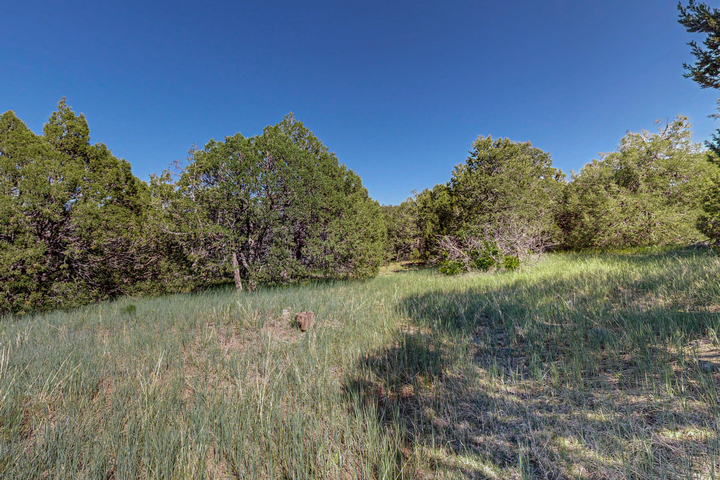 33 Los Pecos Lp Loop, Tijeras, New Mexico image 14