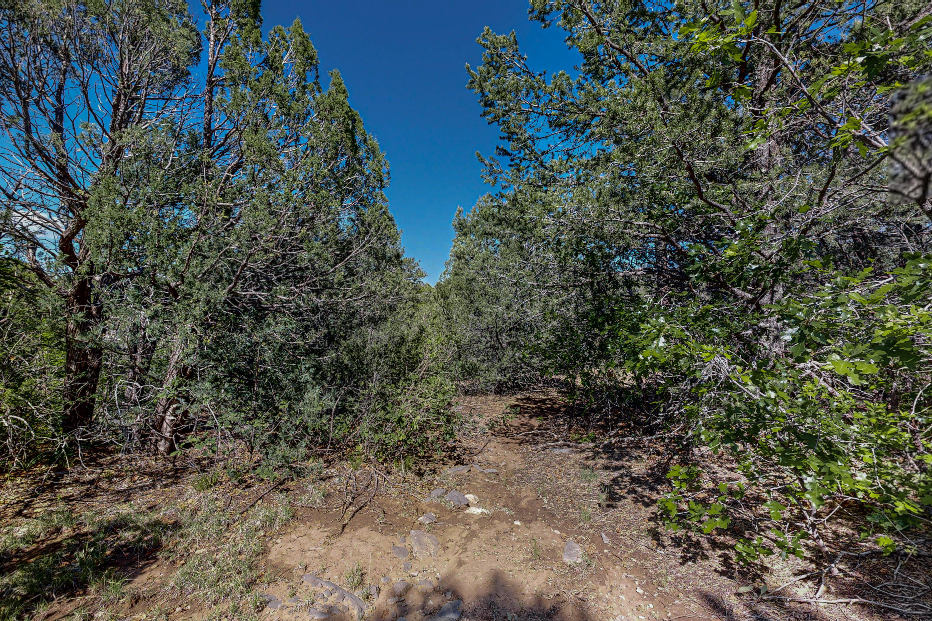 33 Los Pecos Lp Loop, Tijeras, New Mexico image 23