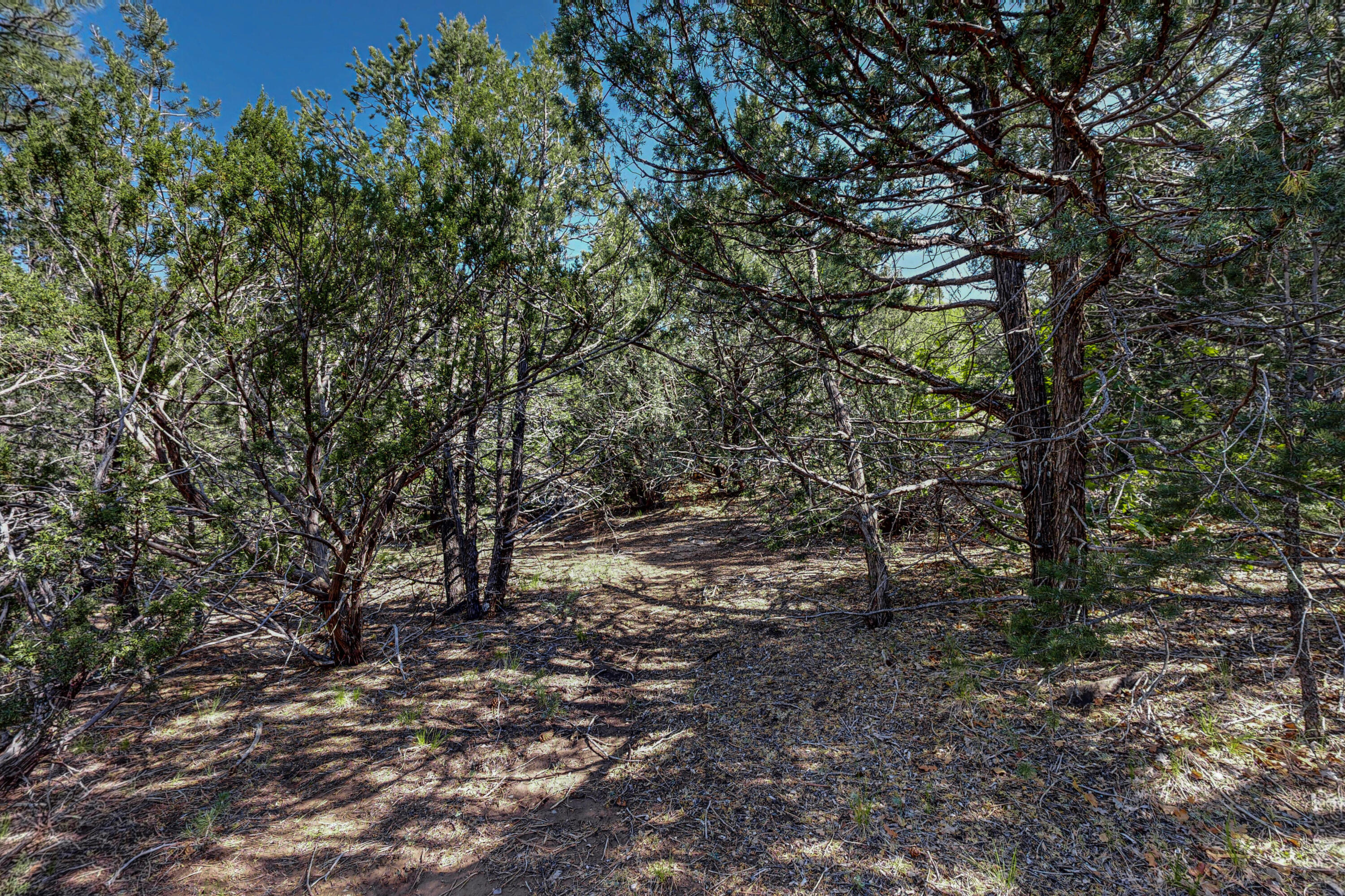 33 Los Pecos Lp Loop, Tijeras, New Mexico image 20