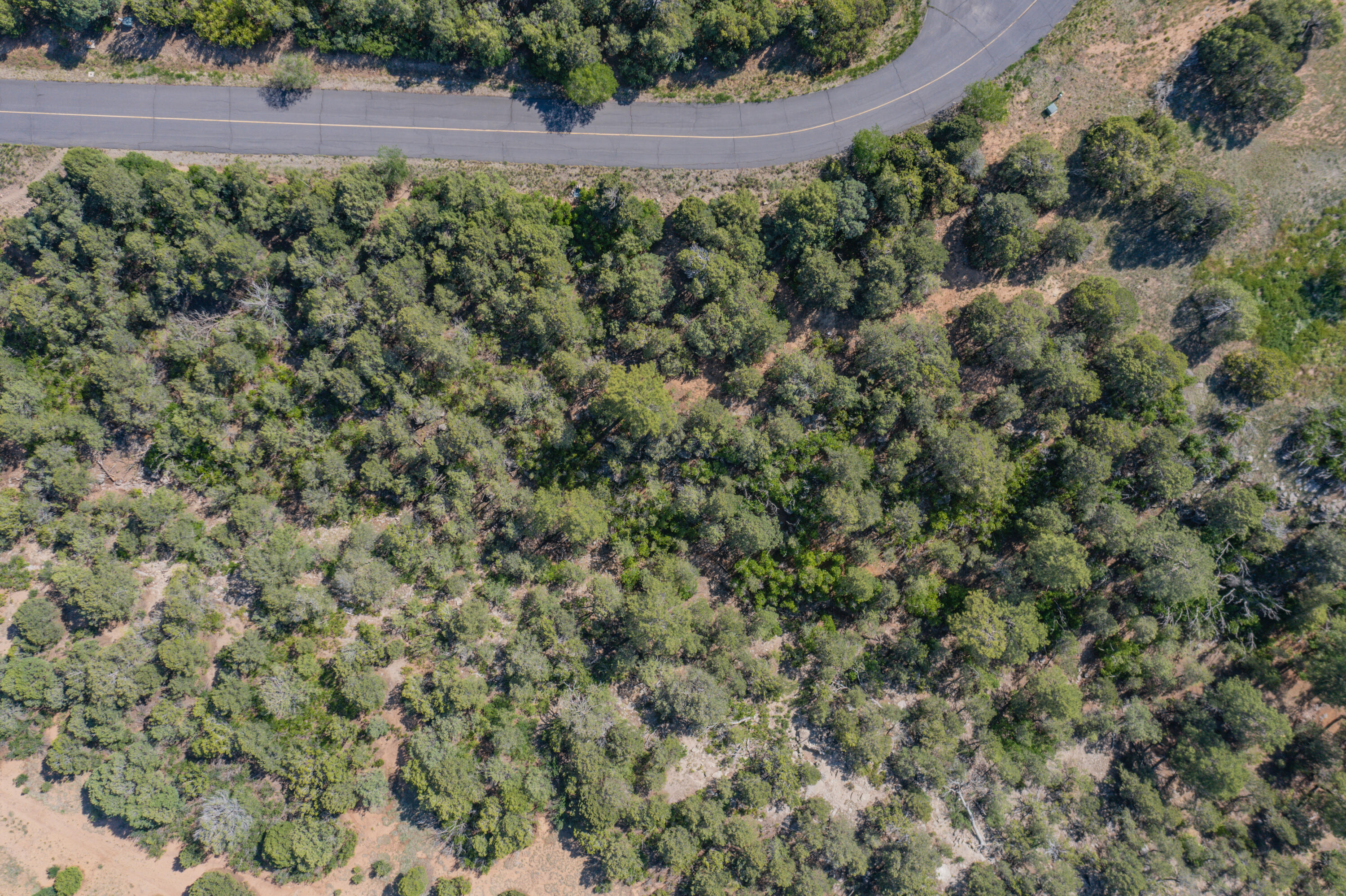33 Los Pecos Lp Loop, Tijeras, New Mexico image 9