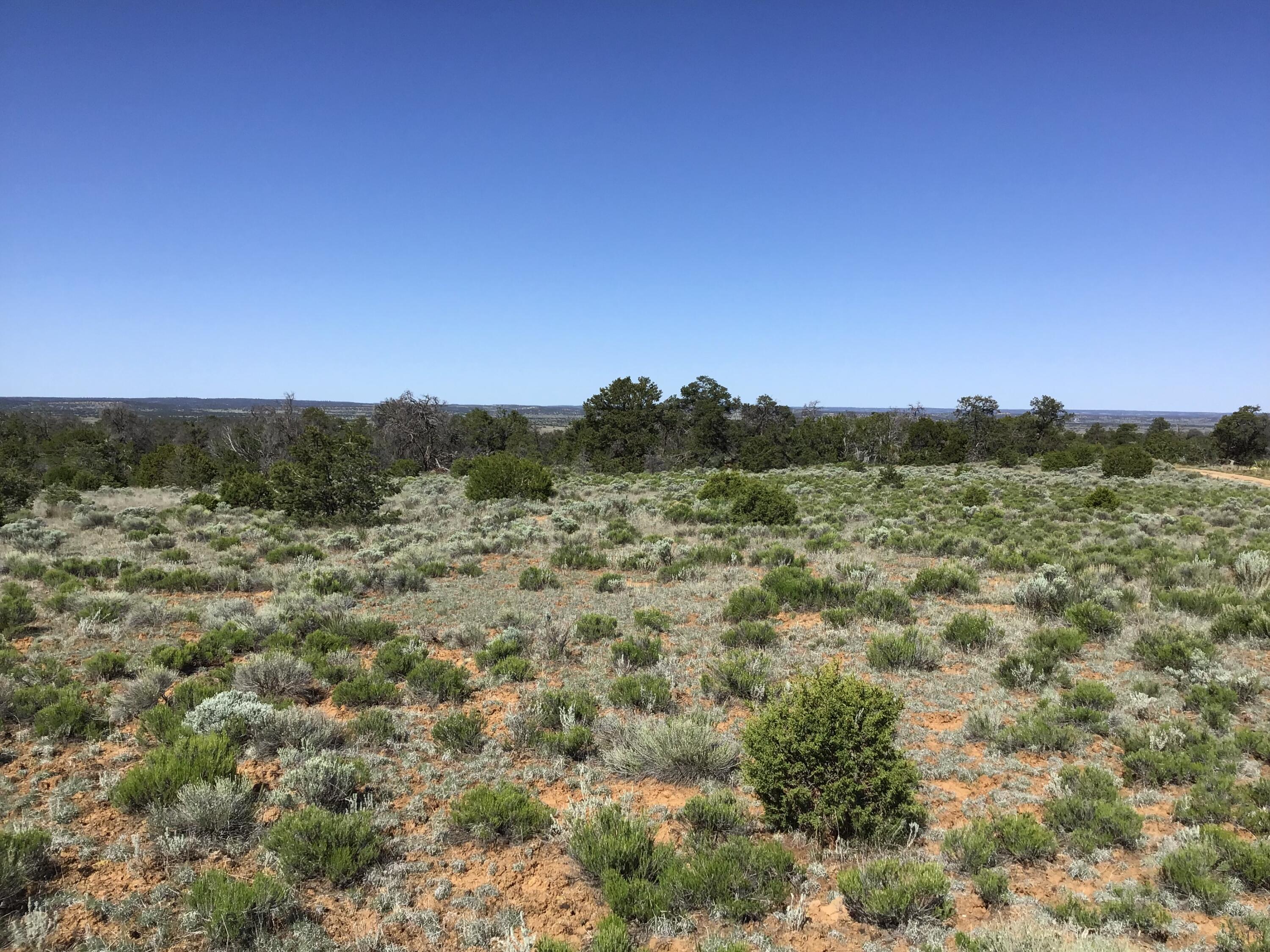 Lot 202 Canyon Cove, Ramah, New Mexico image 6