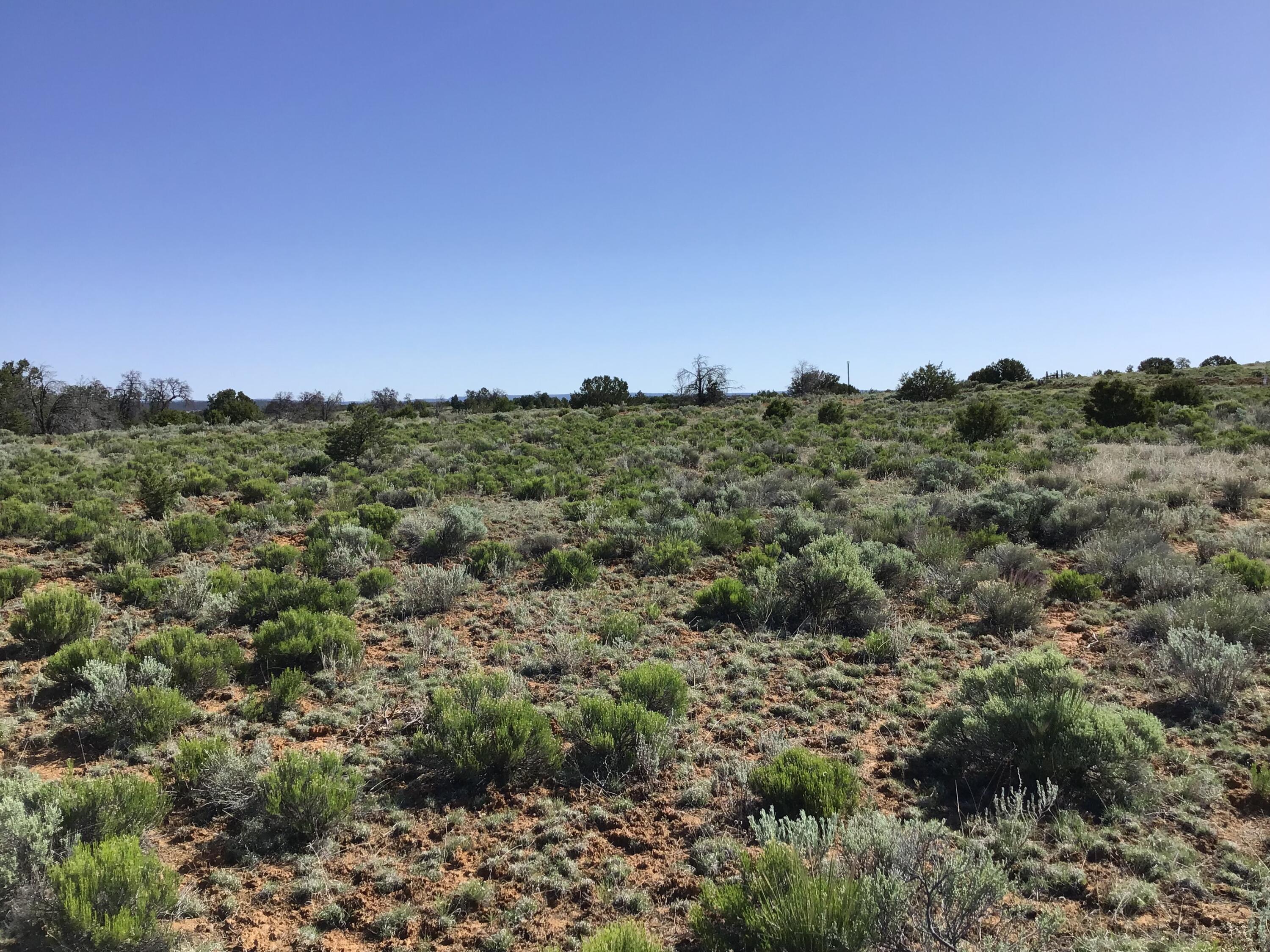 Lot 202 Canyon Cove, Ramah, New Mexico image 9