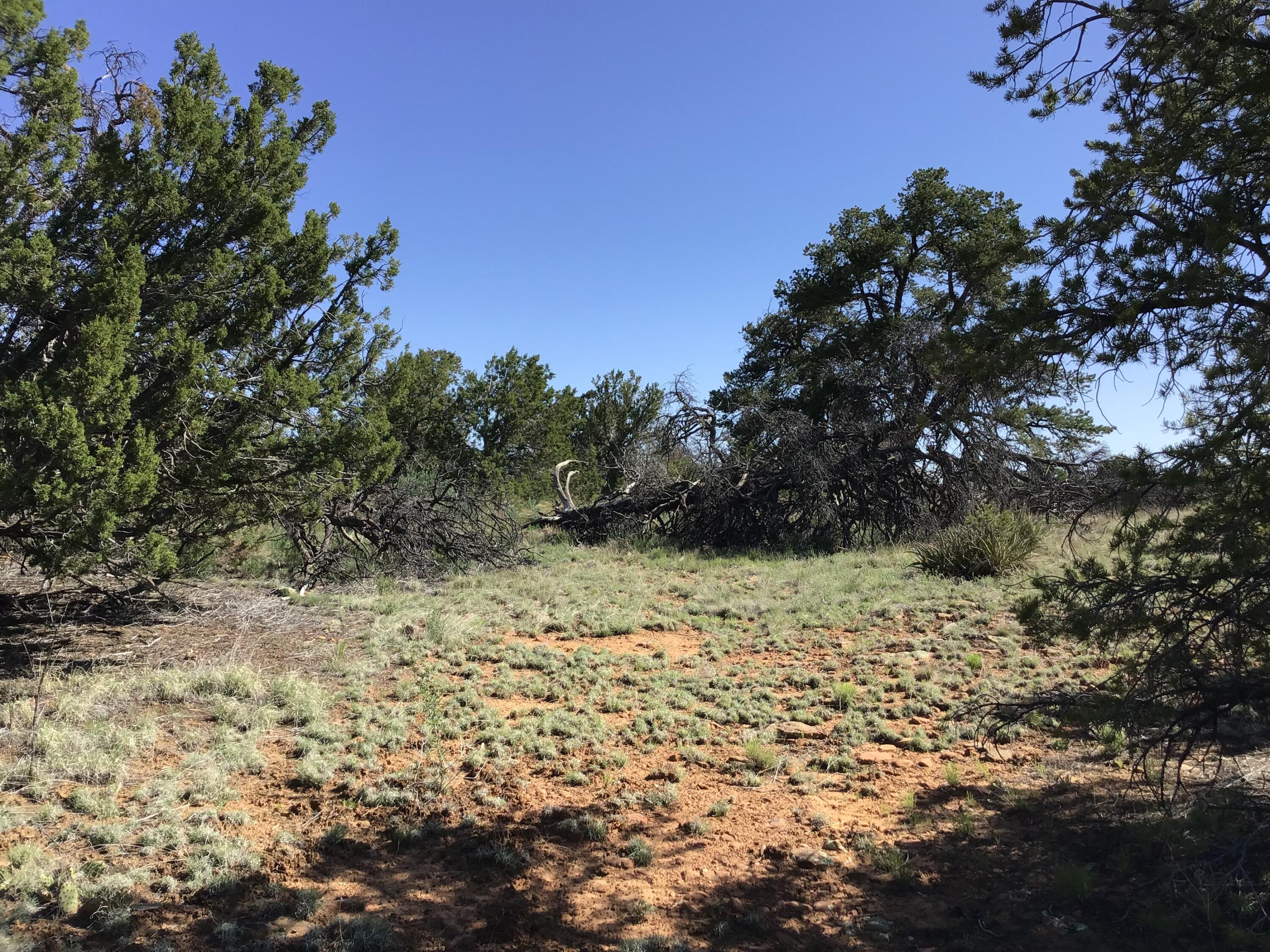 Lot 202 Canyon Cove, Ramah, New Mexico image 11