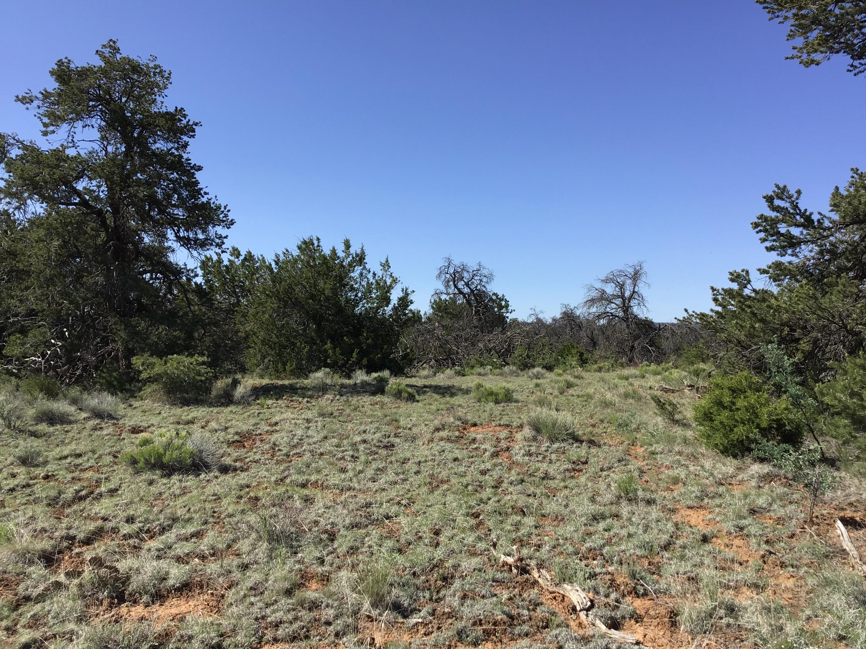 Lot 202 Canyon Cove, Ramah, New Mexico image 23