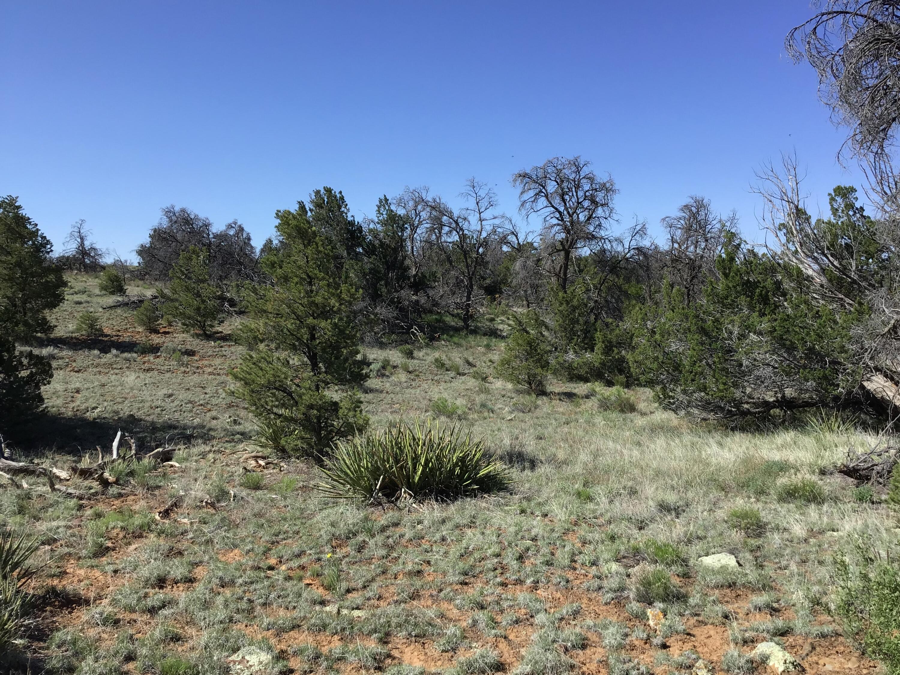 Lot 202 Canyon Cove, Ramah, New Mexico image 8