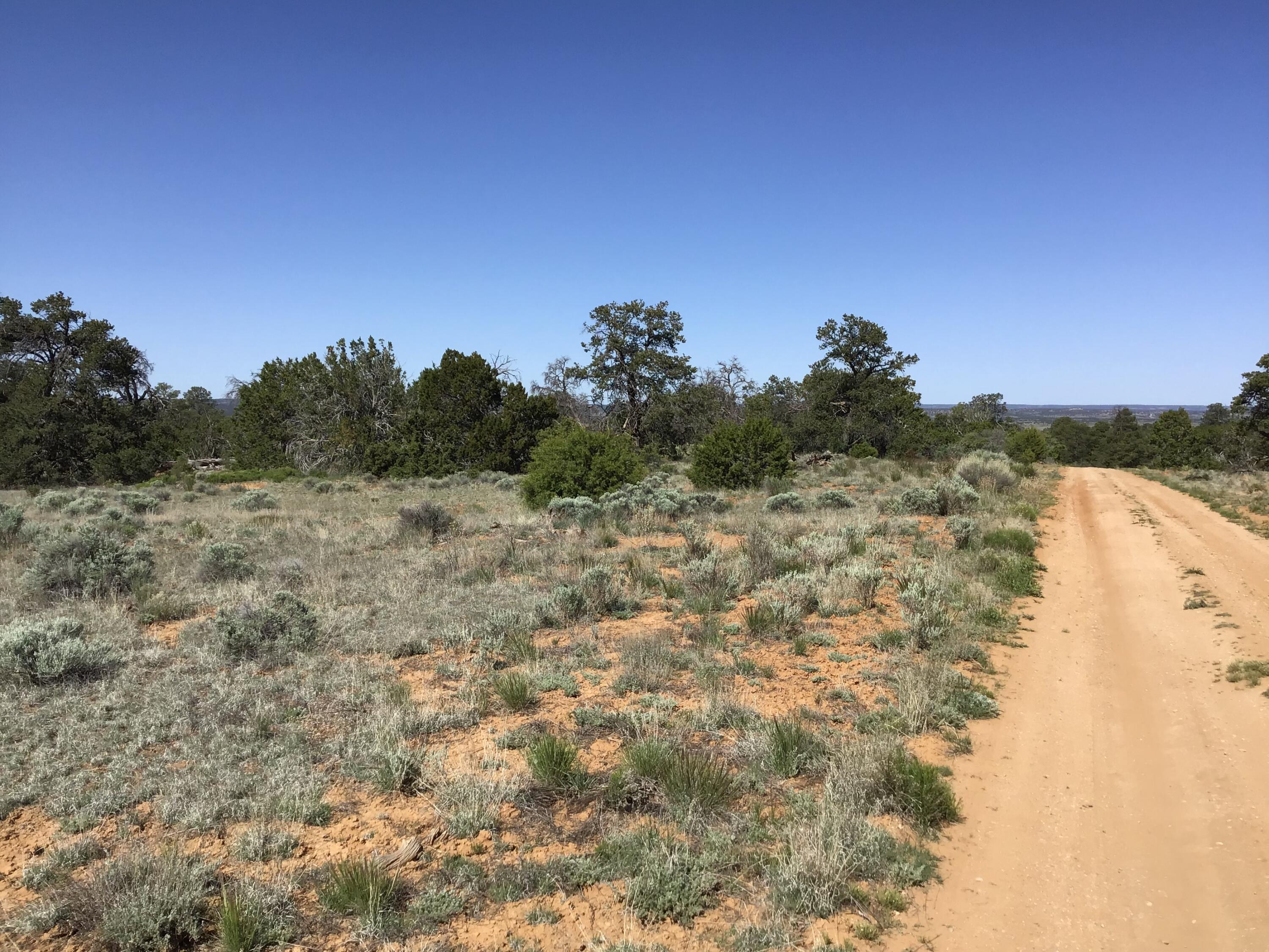 Lot 202 Canyon Cove, Ramah, New Mexico image 26