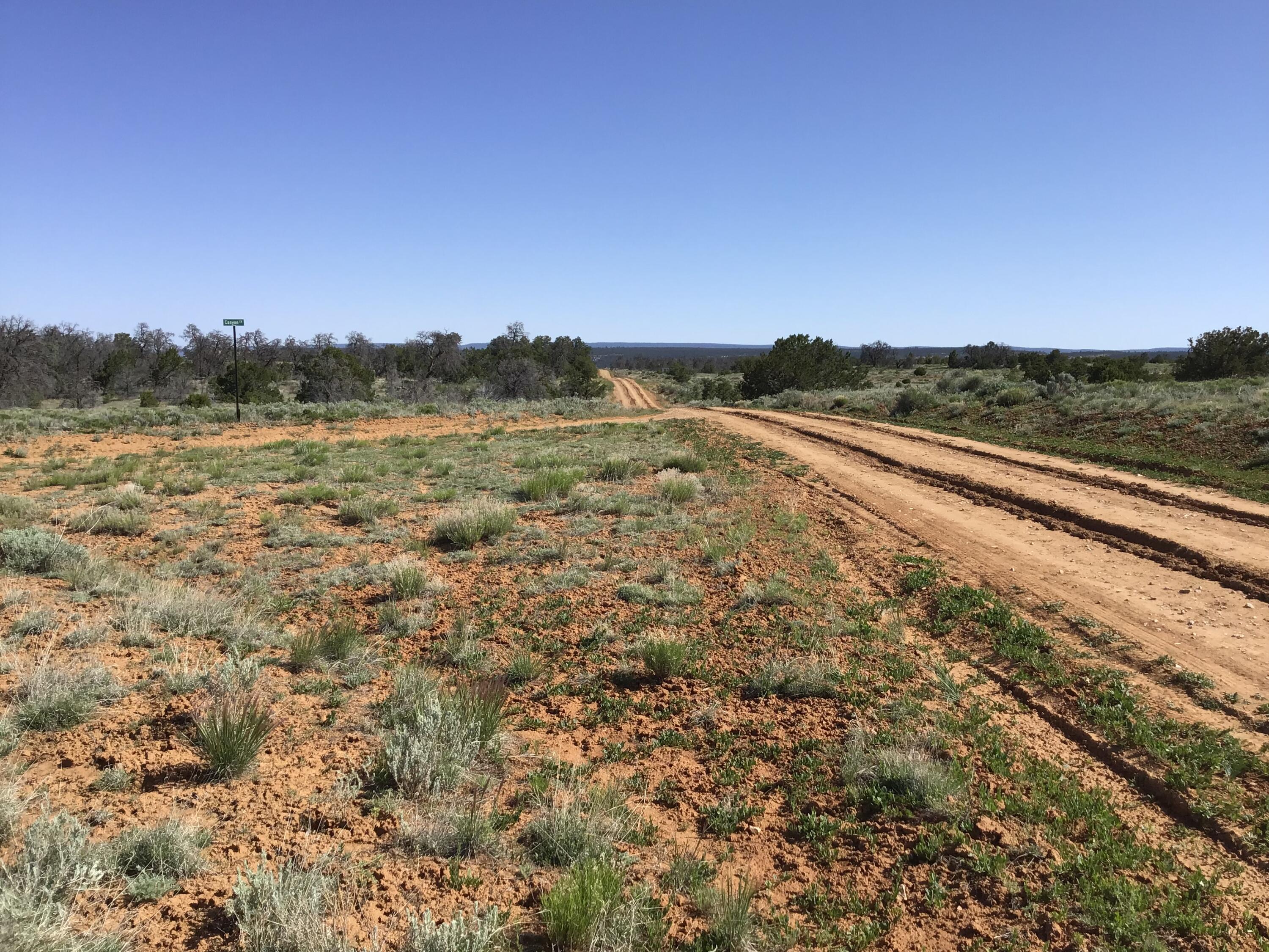 Lot 202 Canyon Cove, Ramah, New Mexico image 4