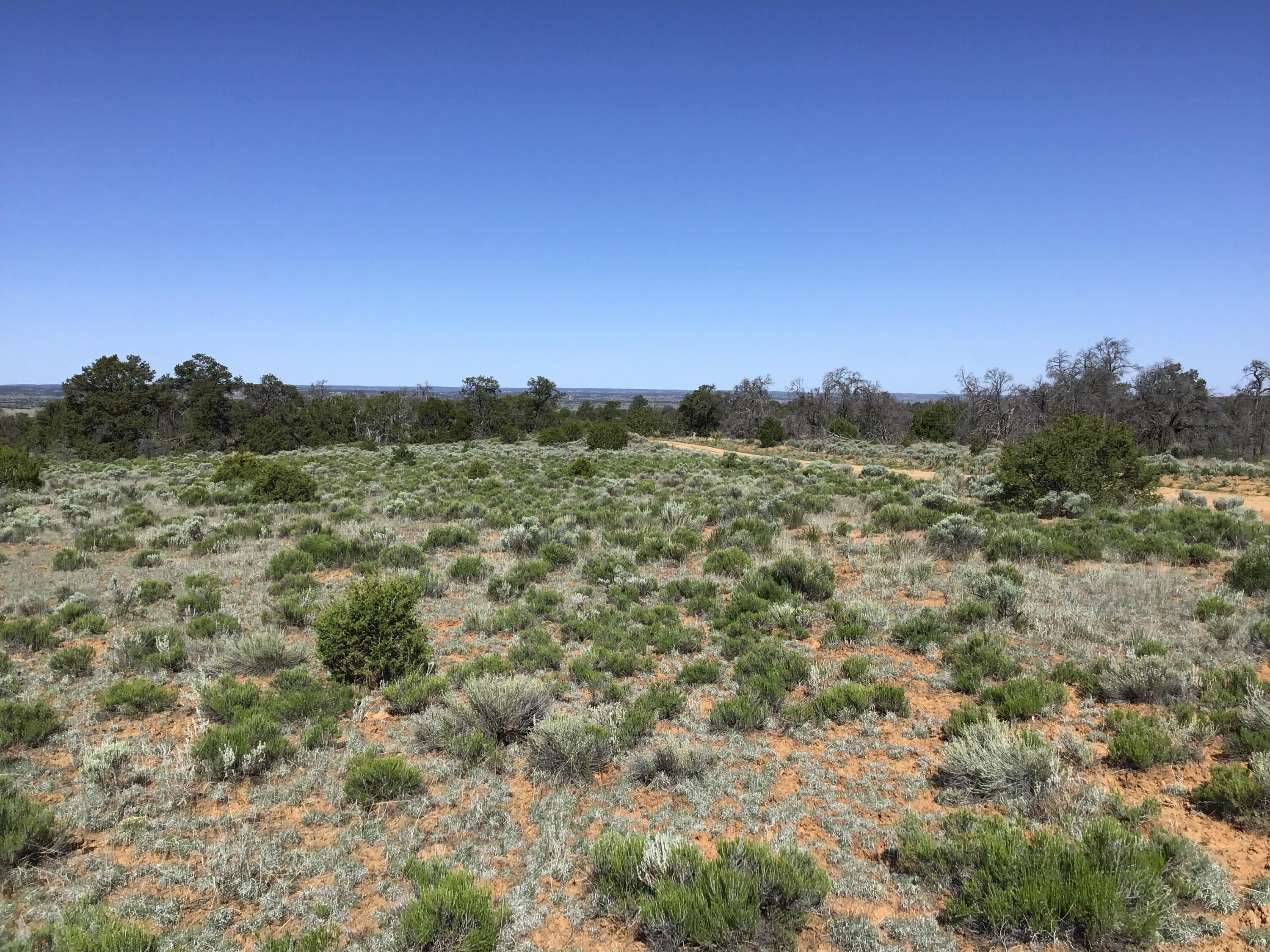 Lot 202 Canyon Cove, Ramah, New Mexico image 3