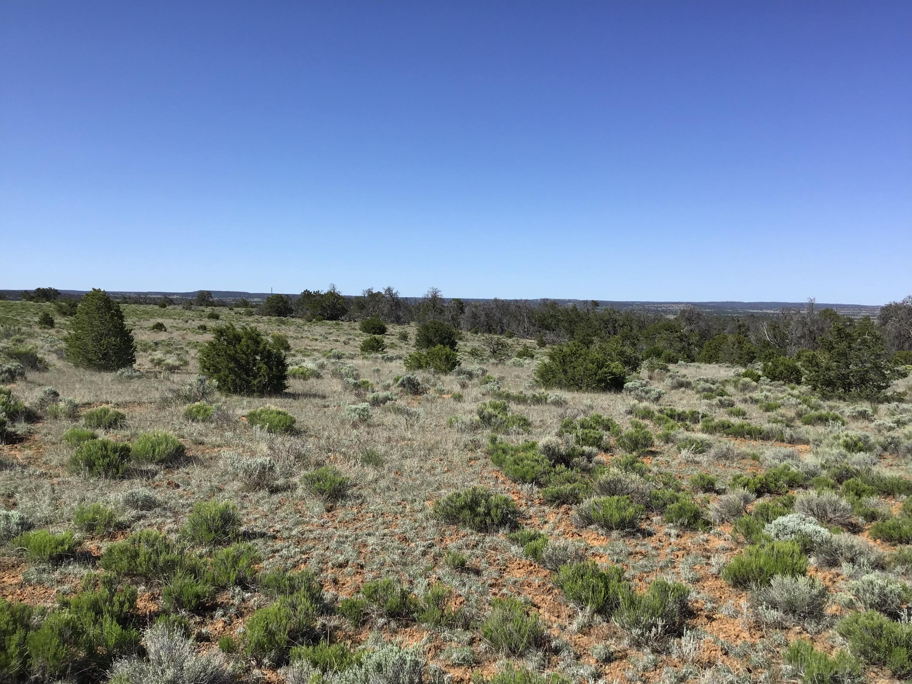 Lot 202 Canyon Cove, Ramah, New Mexico image 7