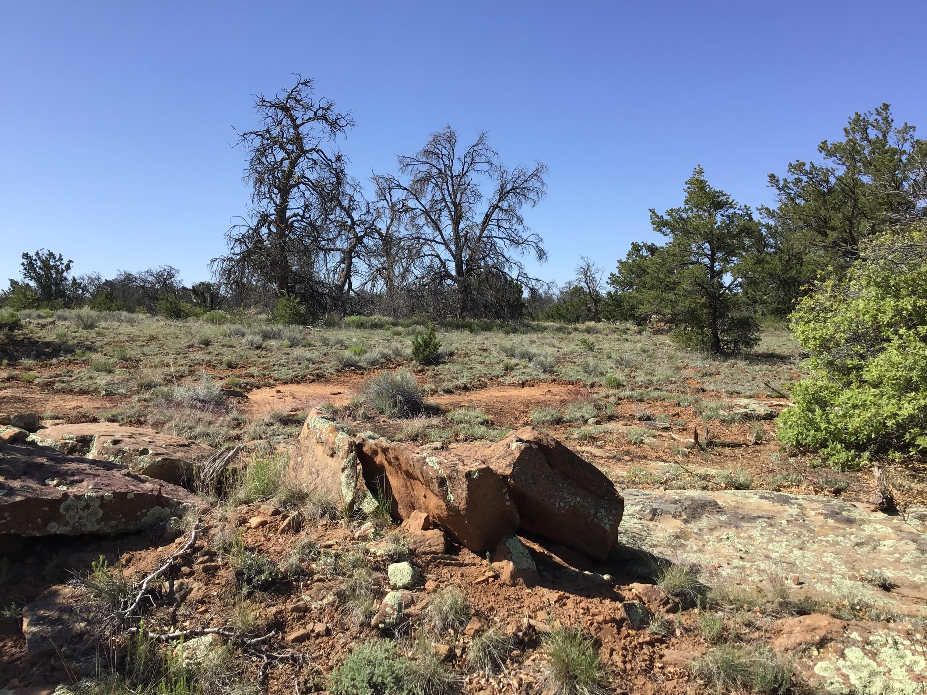 Lot 202 Canyon Cove, Ramah, New Mexico image 25