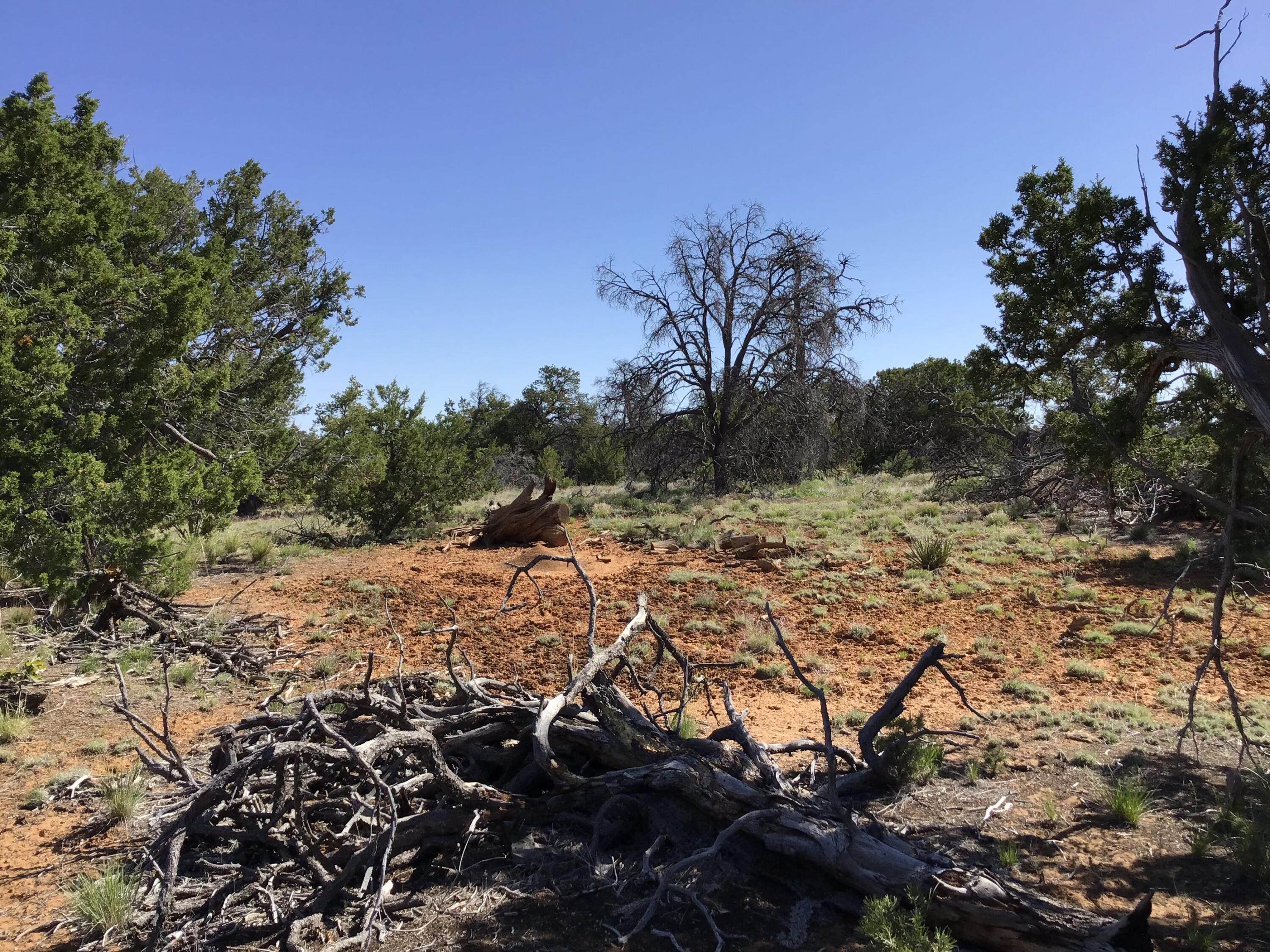 Lot 202 Canyon Cove, Ramah, New Mexico image 19