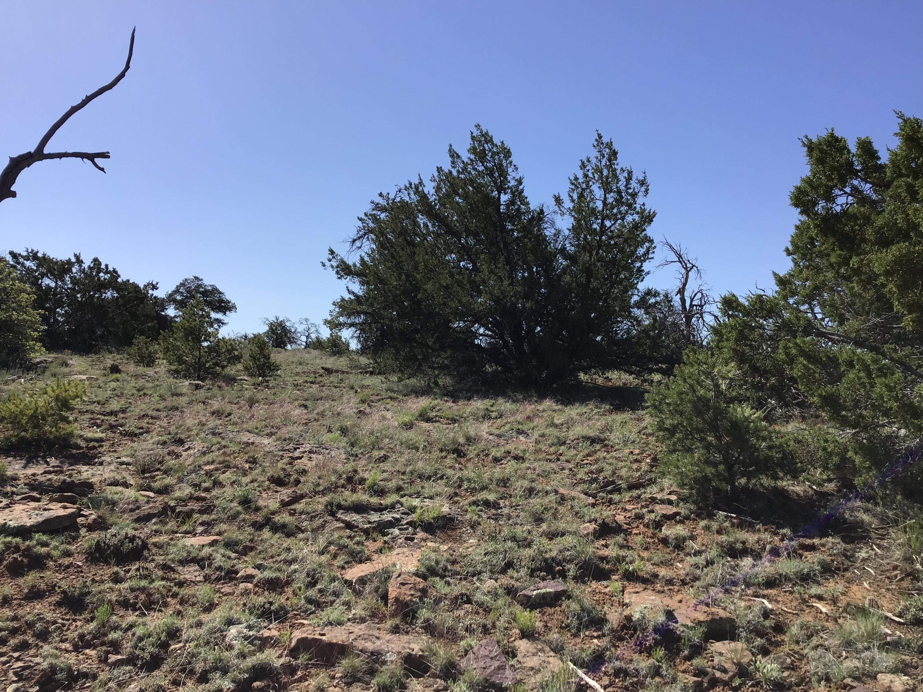 Lot 202 Canyon Cove, Ramah, New Mexico image 20