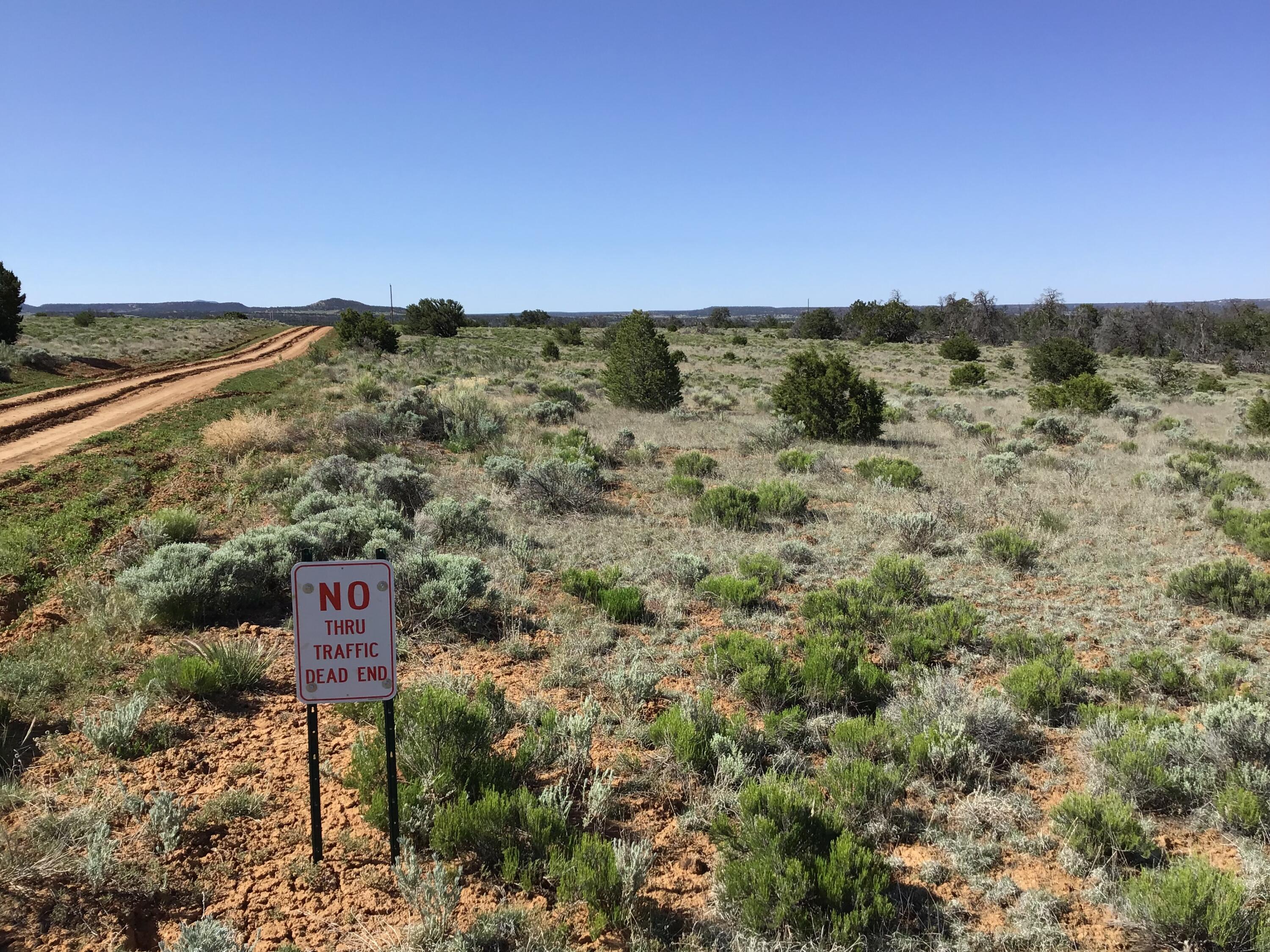 Lot 202 Canyon Cove, Ramah, New Mexico image 2