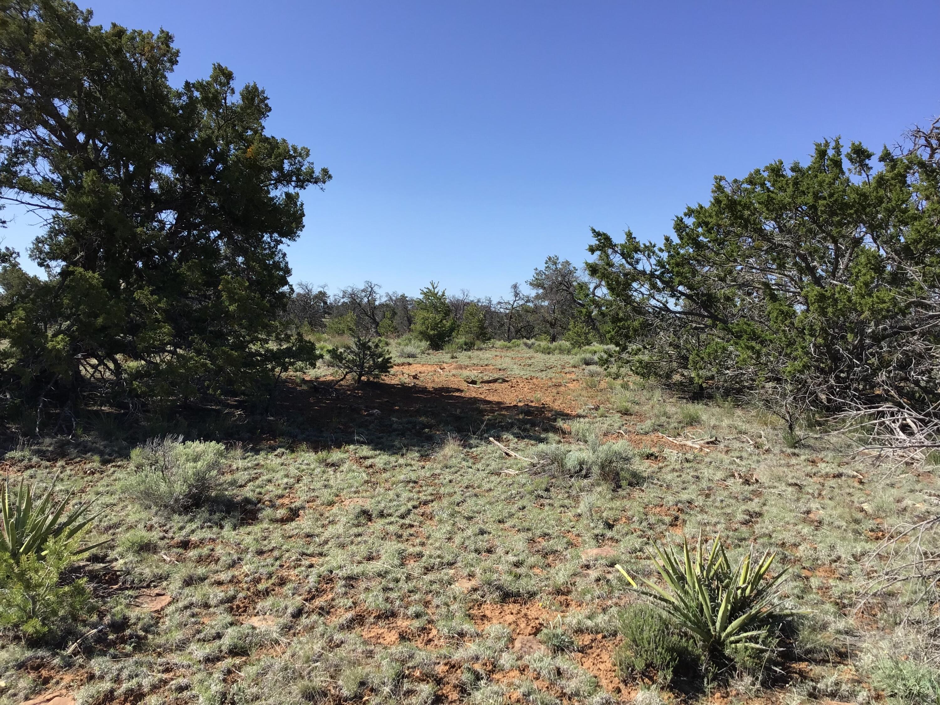 Lot 202 Canyon Cove, Ramah, New Mexico image 24