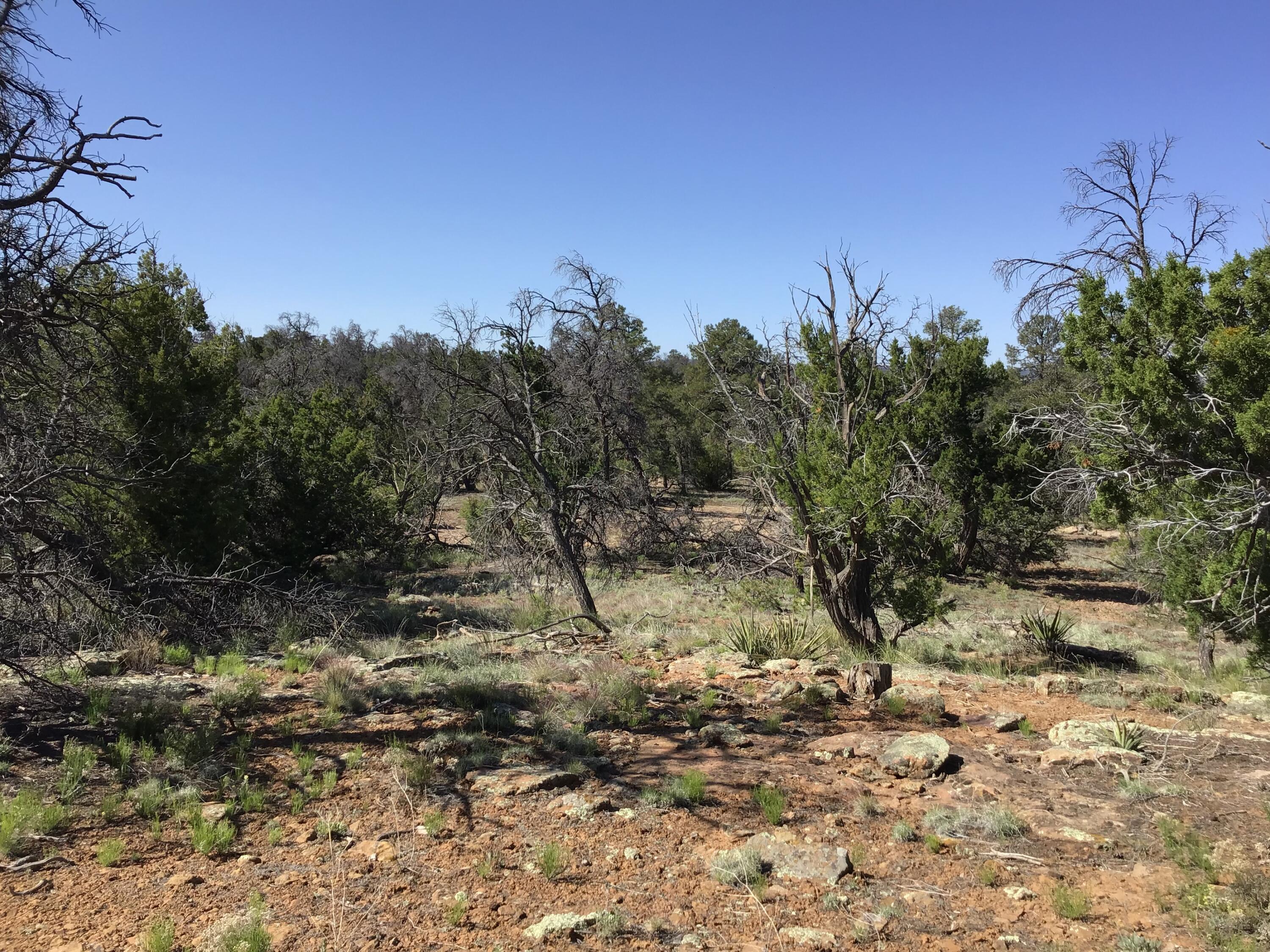 Lot 202 Canyon Cove, Ramah, New Mexico image 22