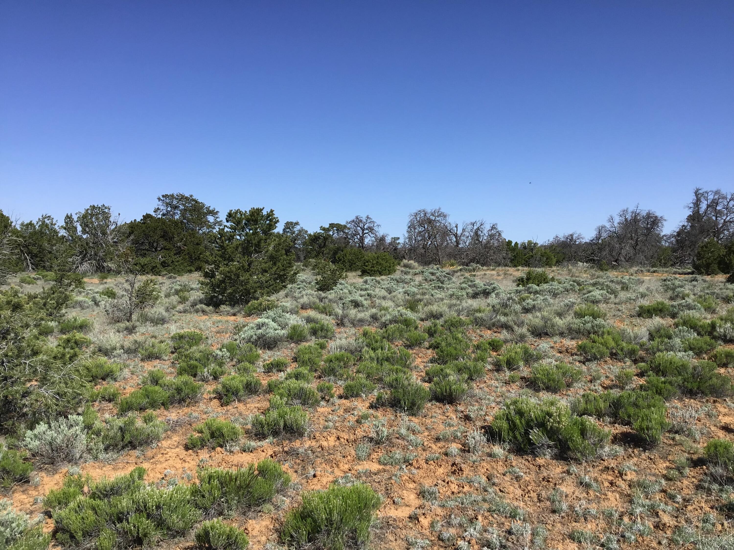 Lot 202 Canyon Cove, Ramah, New Mexico image 5