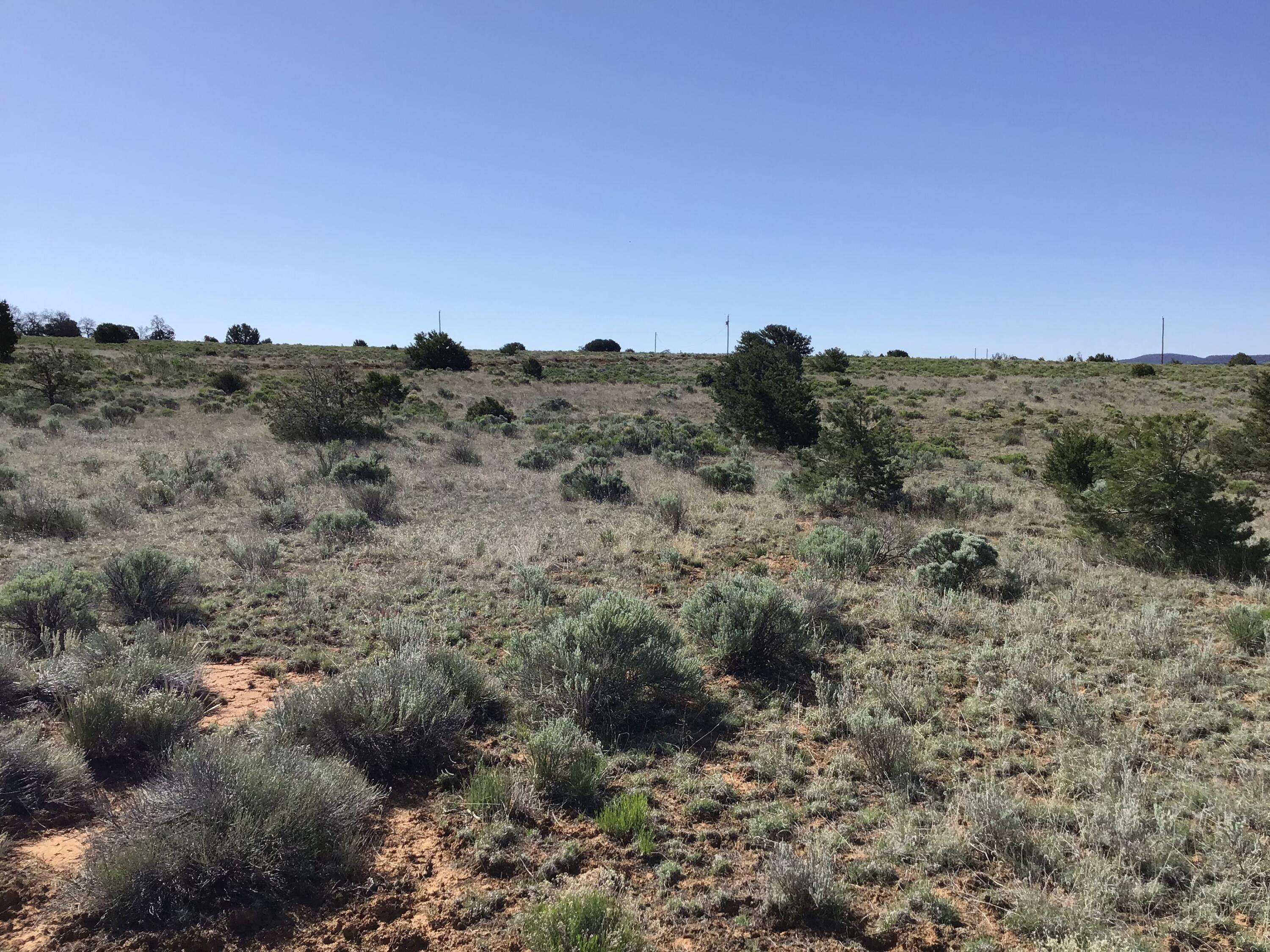 Lot 202 Canyon Cove, Ramah, New Mexico image 10